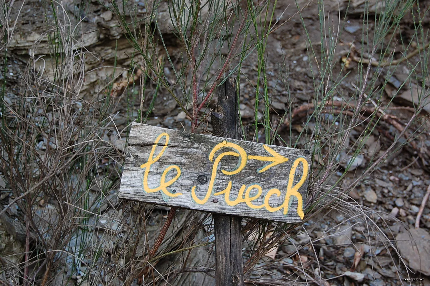 plake "Le Puech", hamtea di Sinte-Croes-Vå-francike (dipårtumint del Lozere) | Autor: Lucyin | Licencja: CC BY-SA 3.0 | Źródło: Wikimedia Commons
