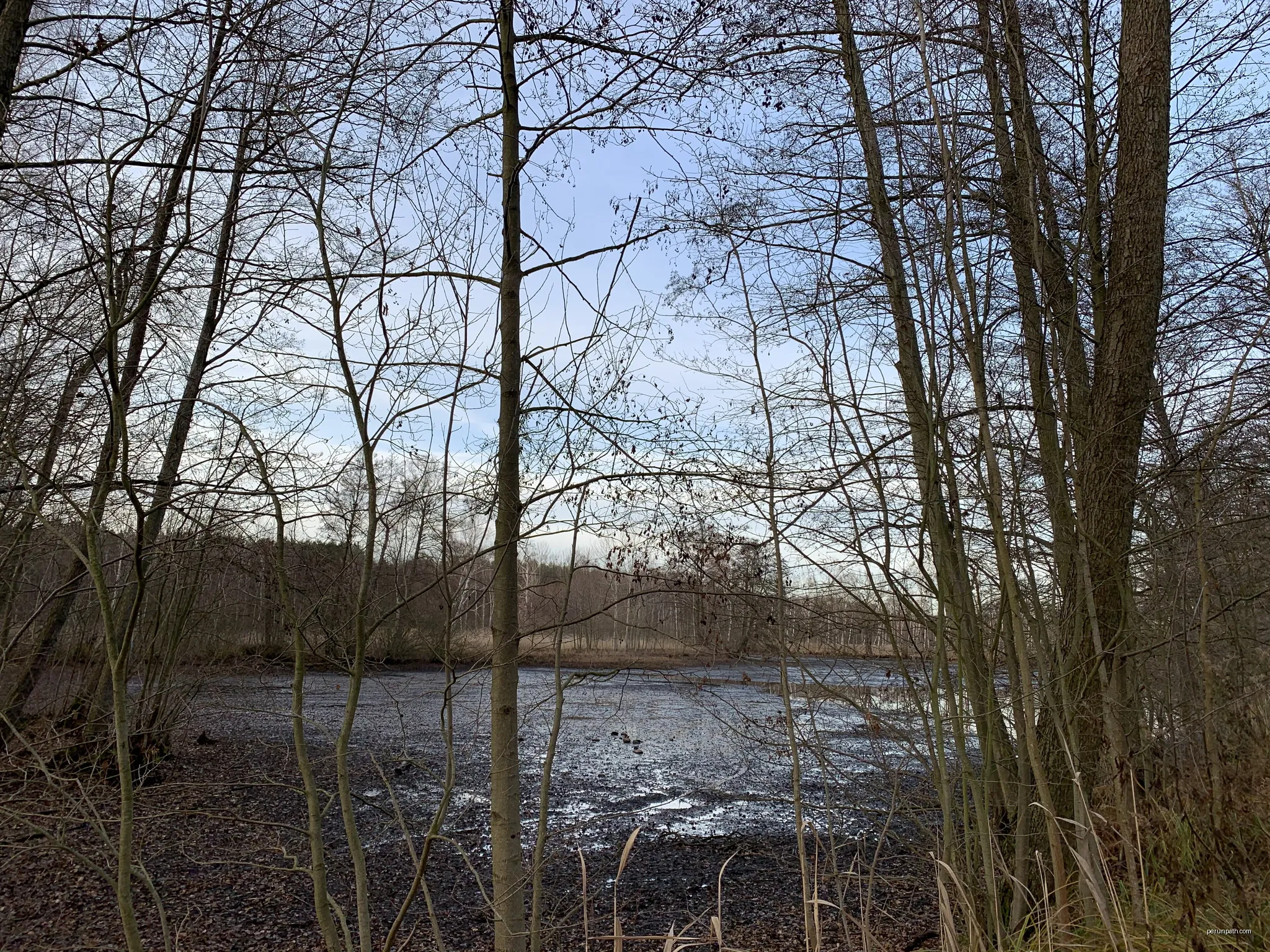 Die Teichlandlandschaft Buchwäldchen-Muckwar ist ein rund 95 Hektar großes Naturschutzgebiet in der Gemeinde Luckaitztal im Landkreis Oberspreeewald-Lausitz in Brandenburg. | Autor: Assenmacher | Licencja: CC BY-SA 4.0 | Źródło: Wikimedia Commons