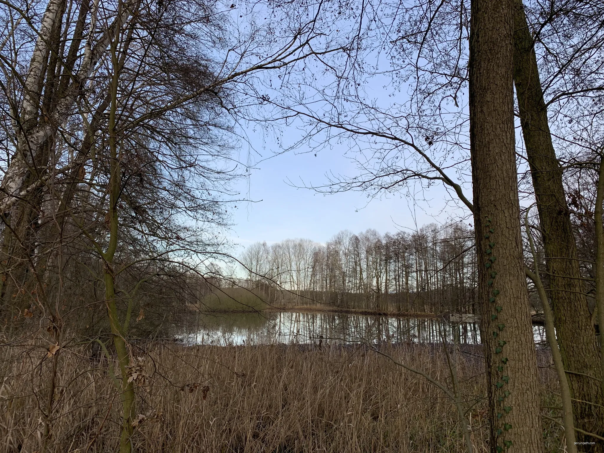 Die Teichlandlandschaft Buchwäldchen-Muckwar ist ein rund 95 Hektar großes Naturschutzgebiet in der Gemeinde Luckaitztal im Landkreis Oberspreeewald-Lausitz in Brandenburg. | Autor: Assenmacher | Licencja: CC BY-SA 4.0 | Źródło: Wikimedia Commons