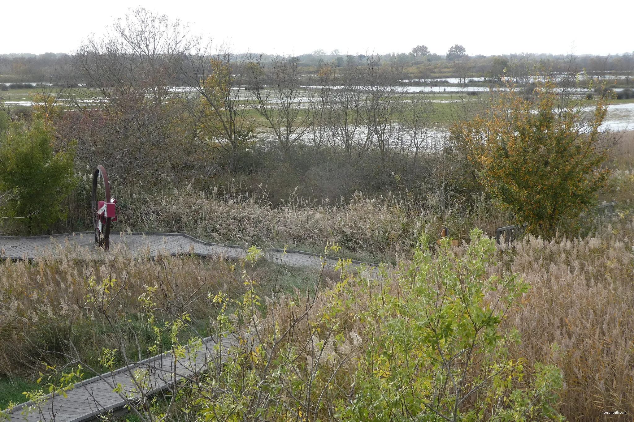 Dans la RNN des marais du Vigueirat | Autor: Pmau | Licencja: CC BY-SA 4.0 | Źródło: Wikimedia Commons