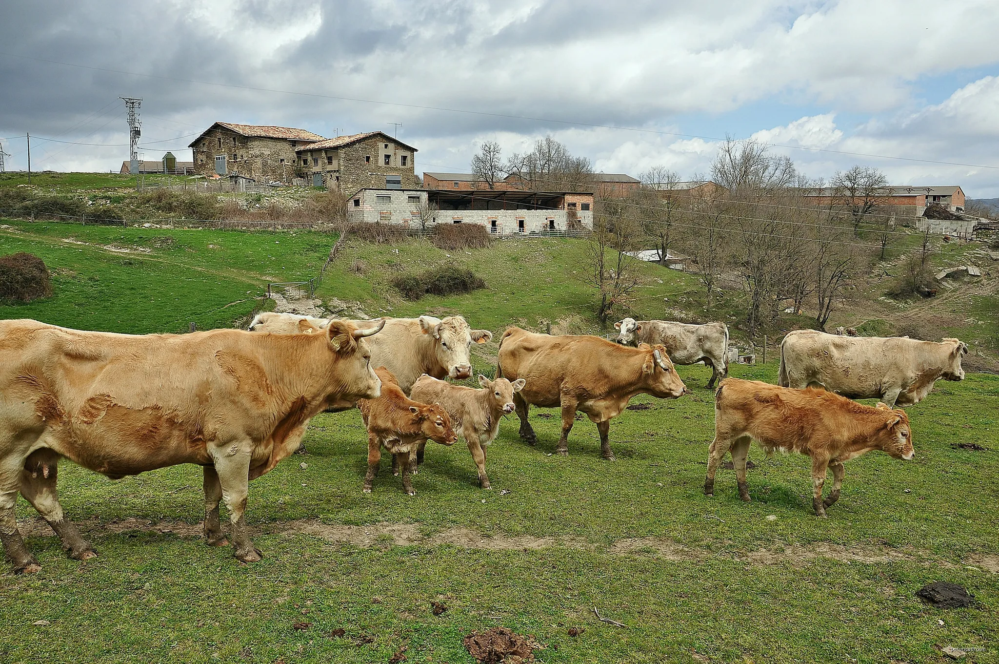 Rupit a Roca Llarga, Sant Corneli i Tavertet