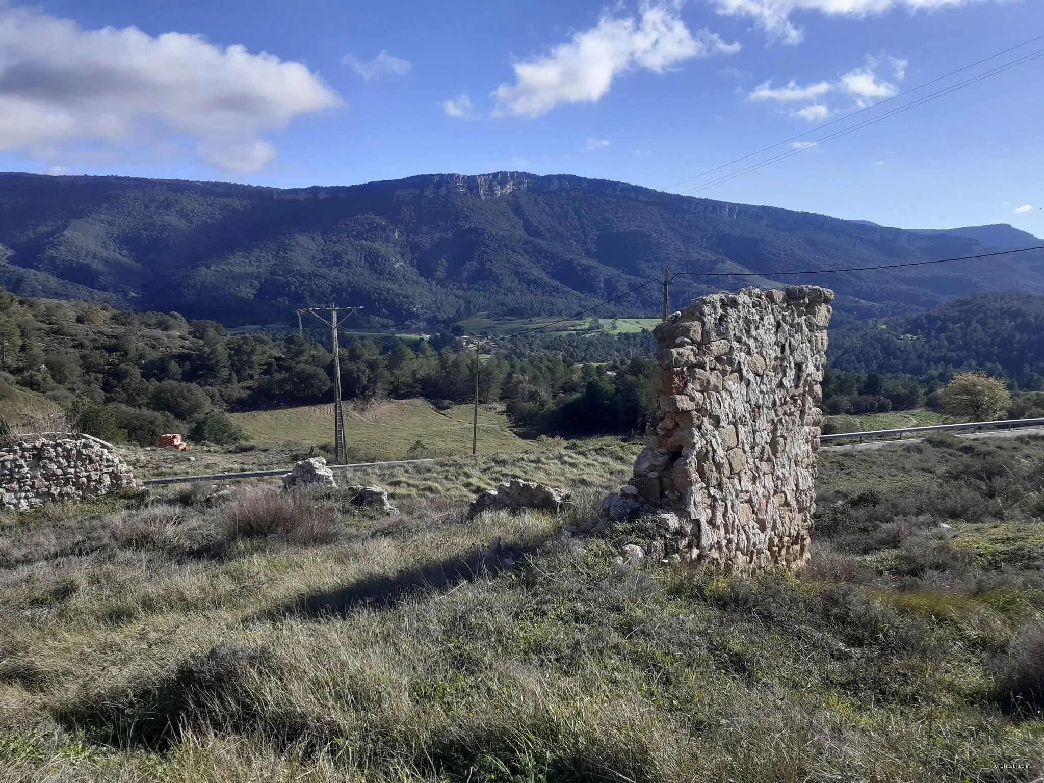 Roureda d'obaga. Albarca