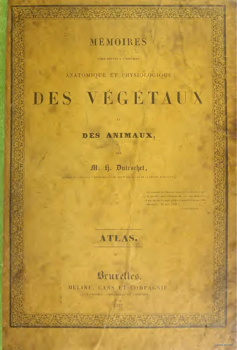 Boucle des Châtaigniers