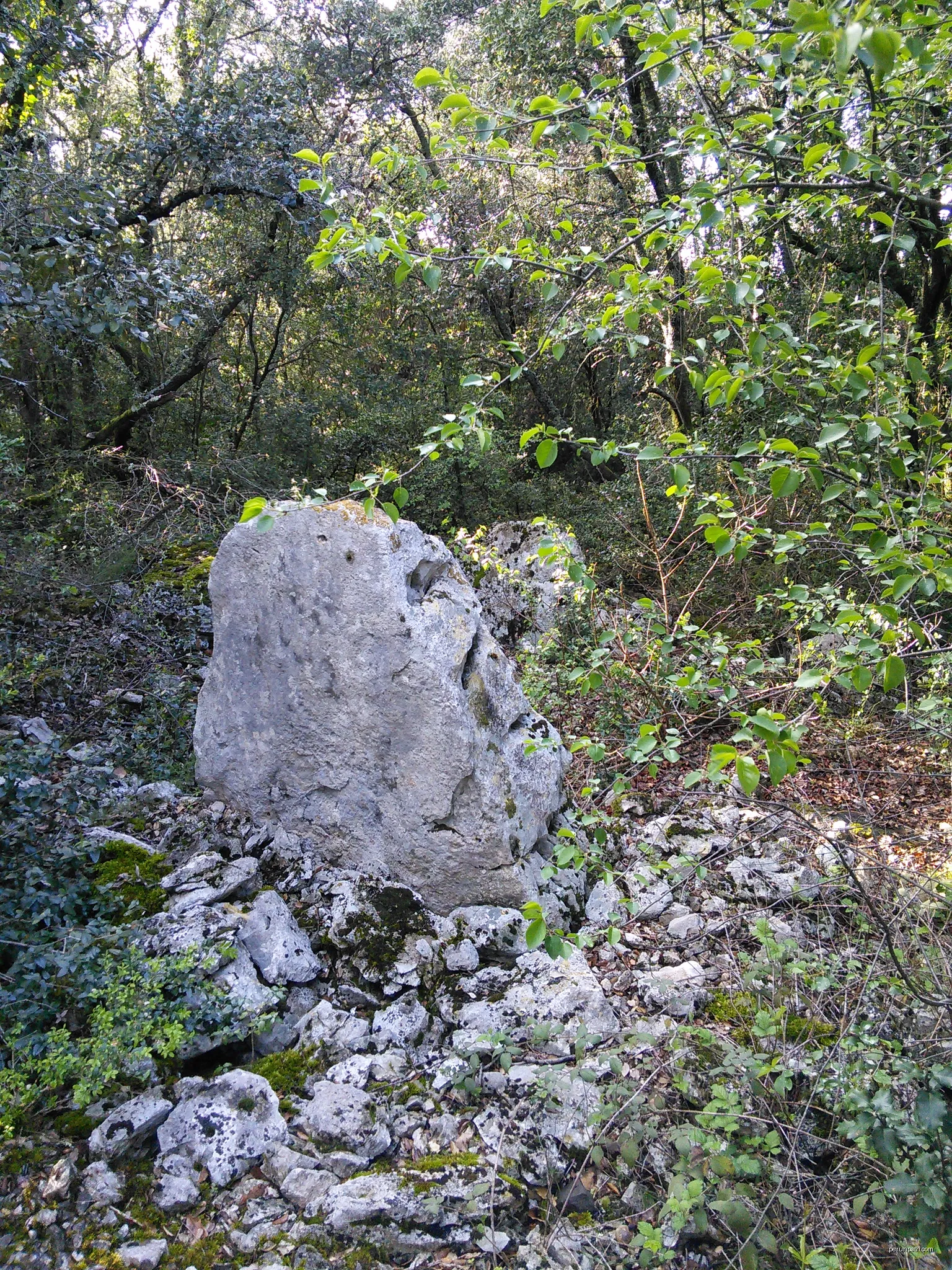 Le Bourdaric - Le Calvaire