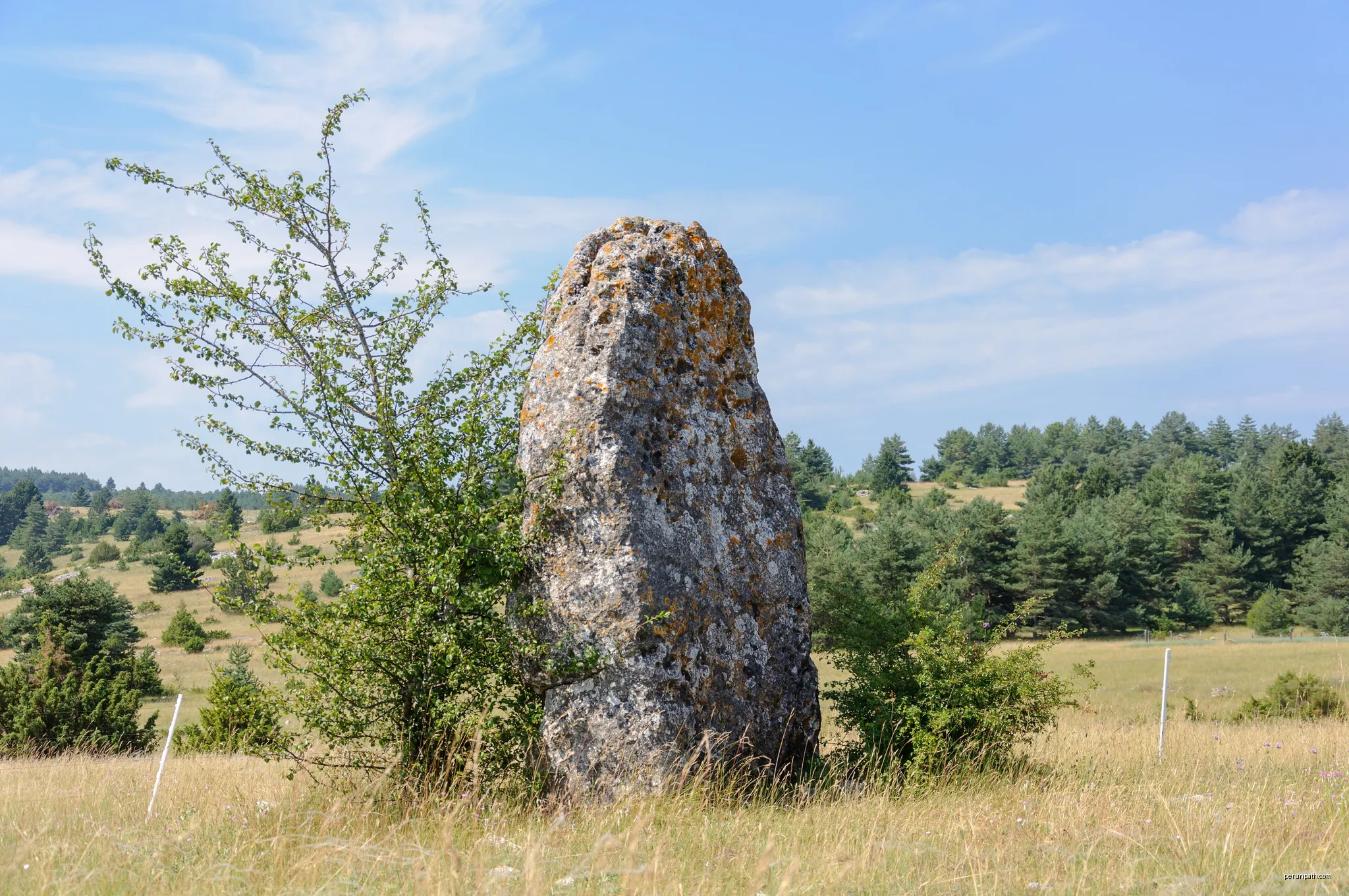 Mas Saint-Chély