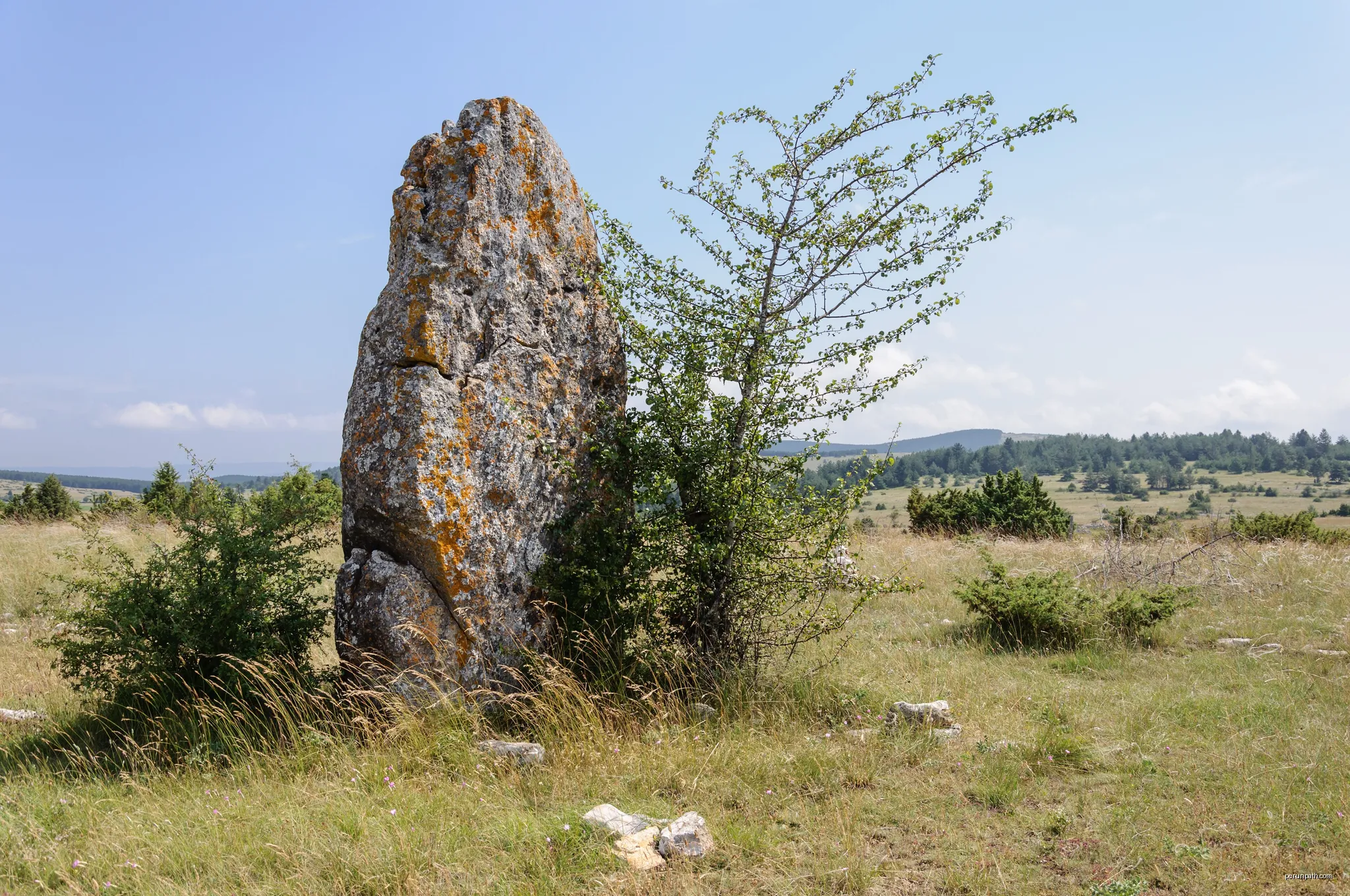 Mas Saint-Chély