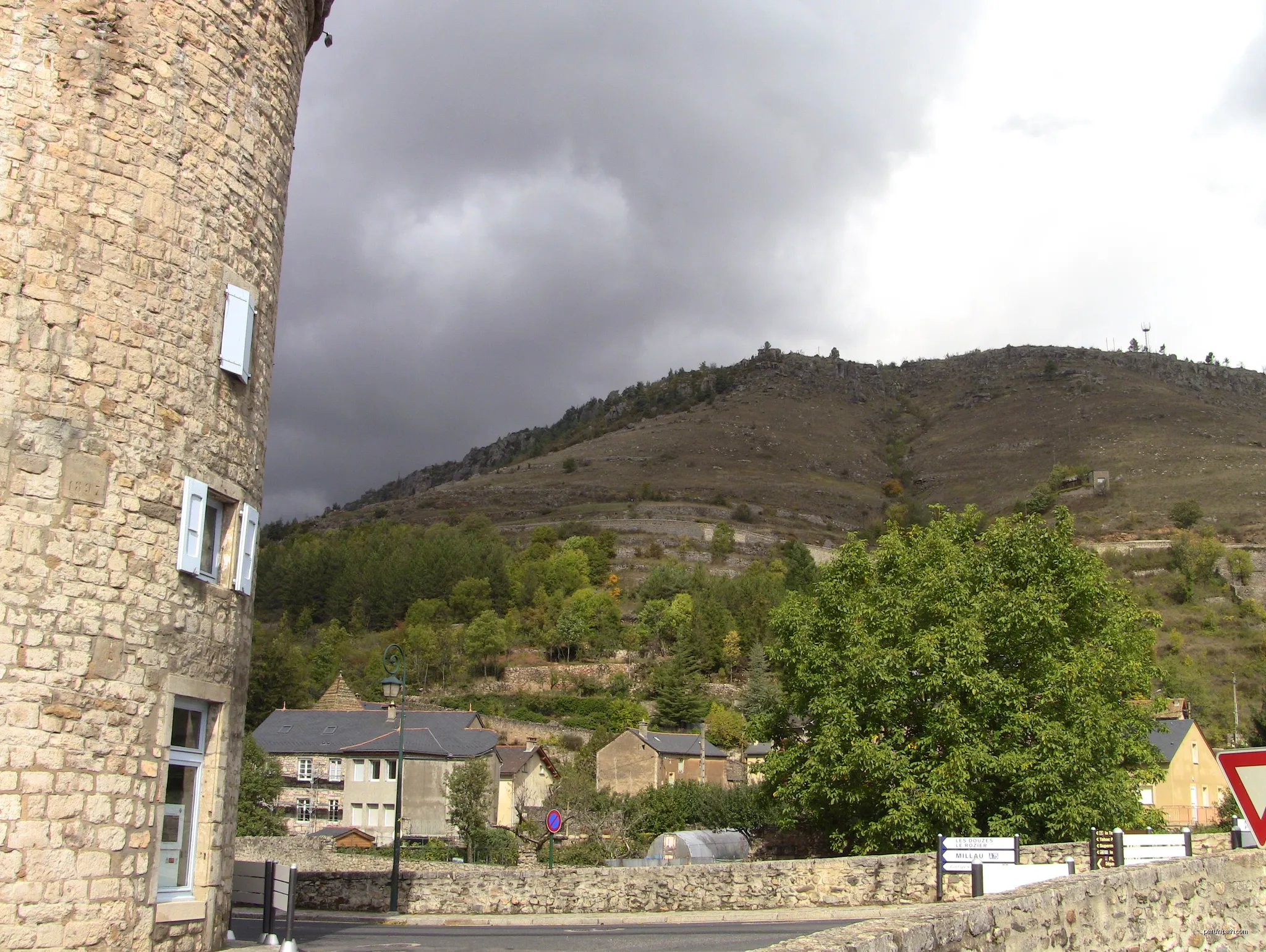 Pauparelle