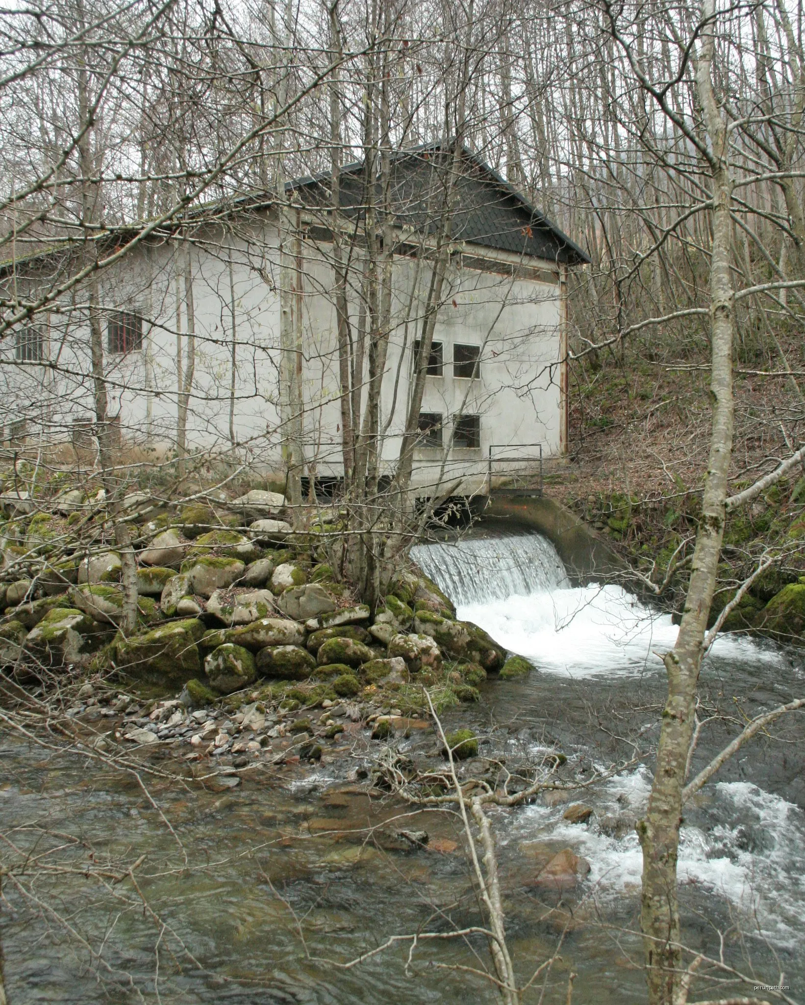 Le Bois du Vaulmier
