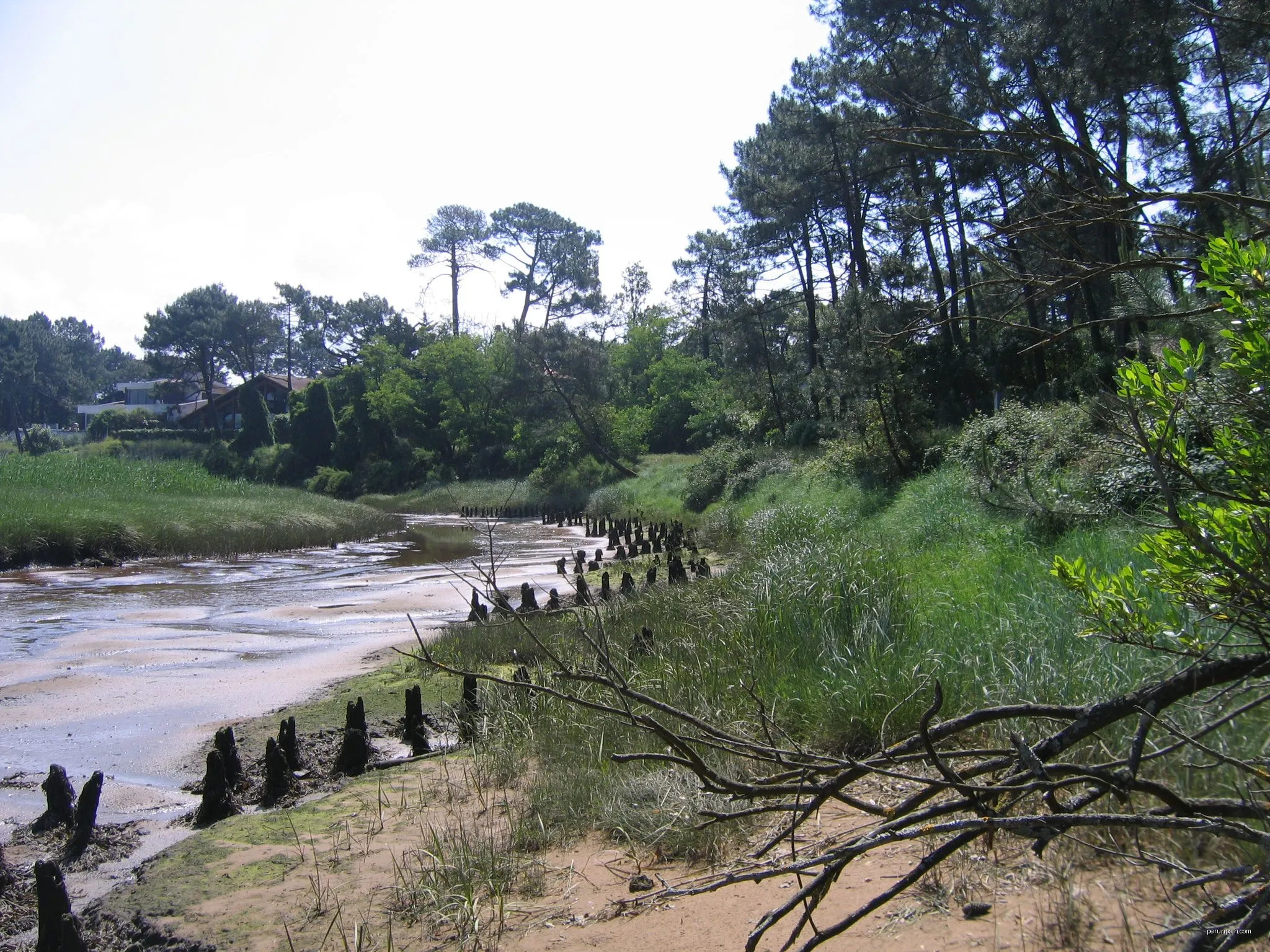Sentier des Aigrettes