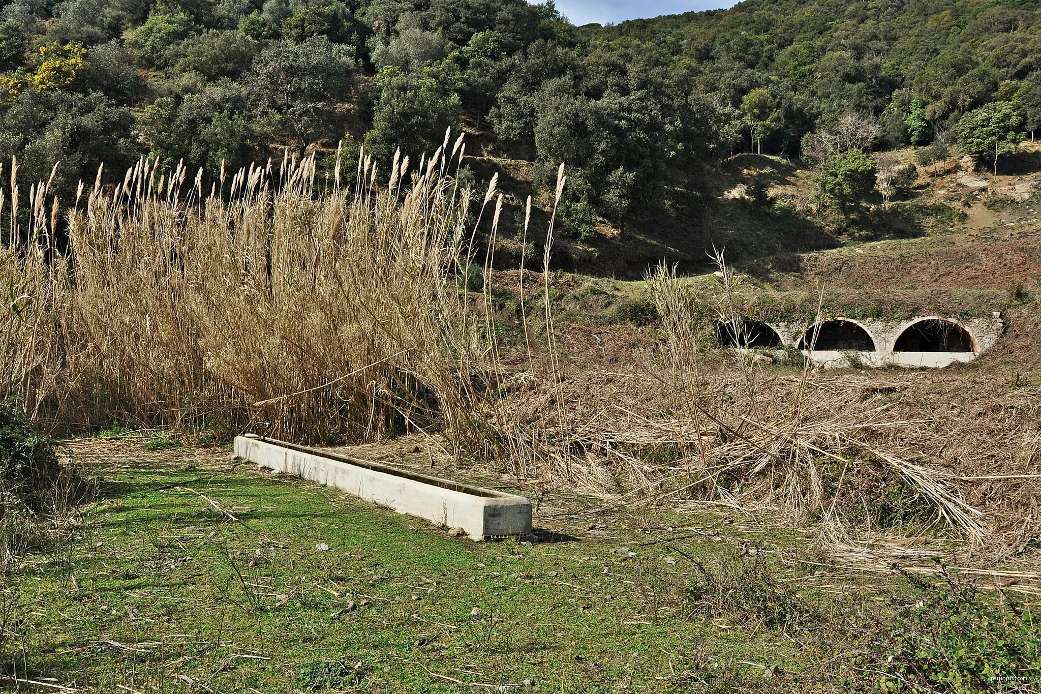 tordera-maresme-cataluña | Autor: Alberto-g-rovi | Licencja: CC BY-SA 3.0 | Źródło: Wikimedia Commons