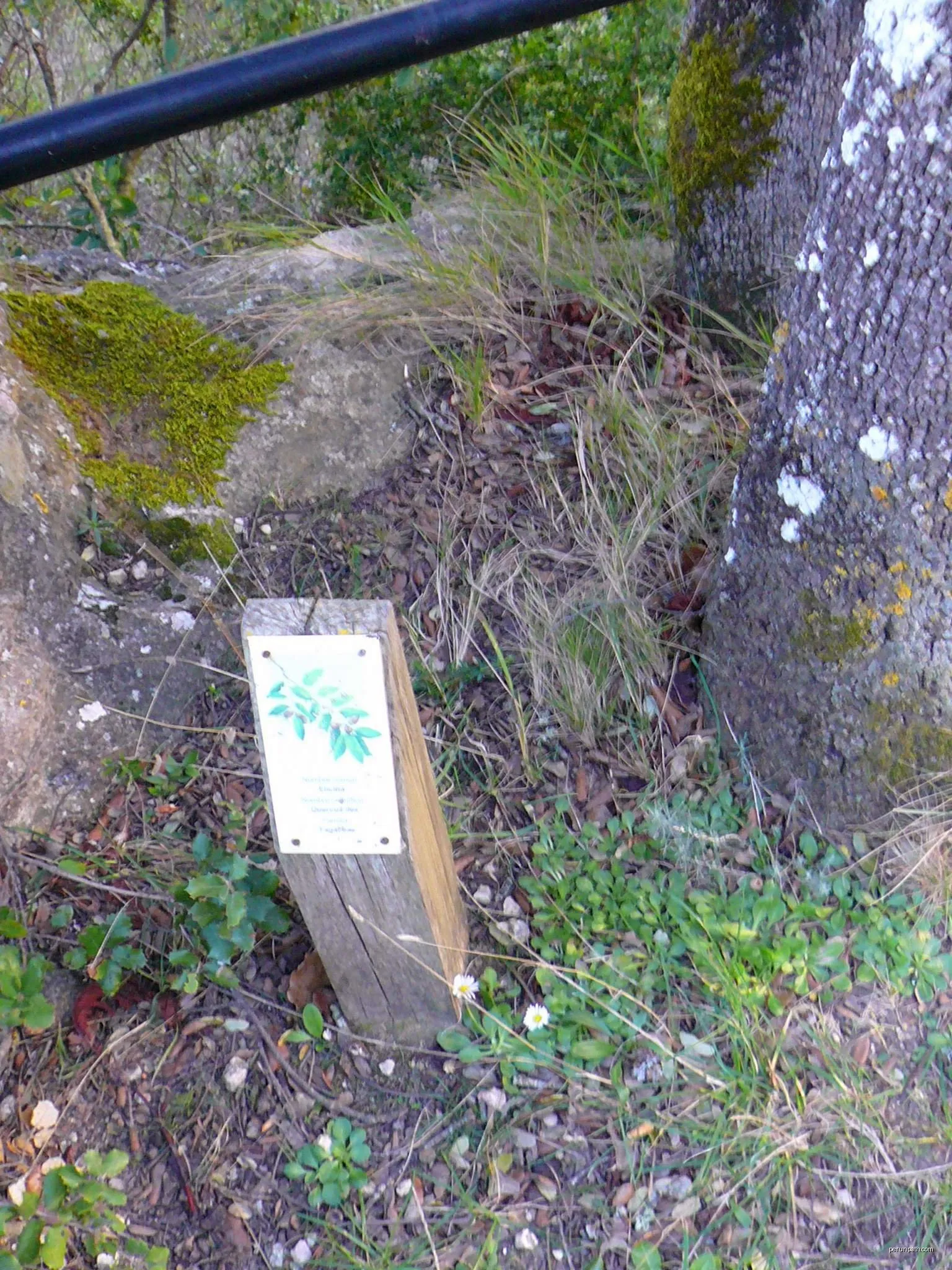Sendero del Monte