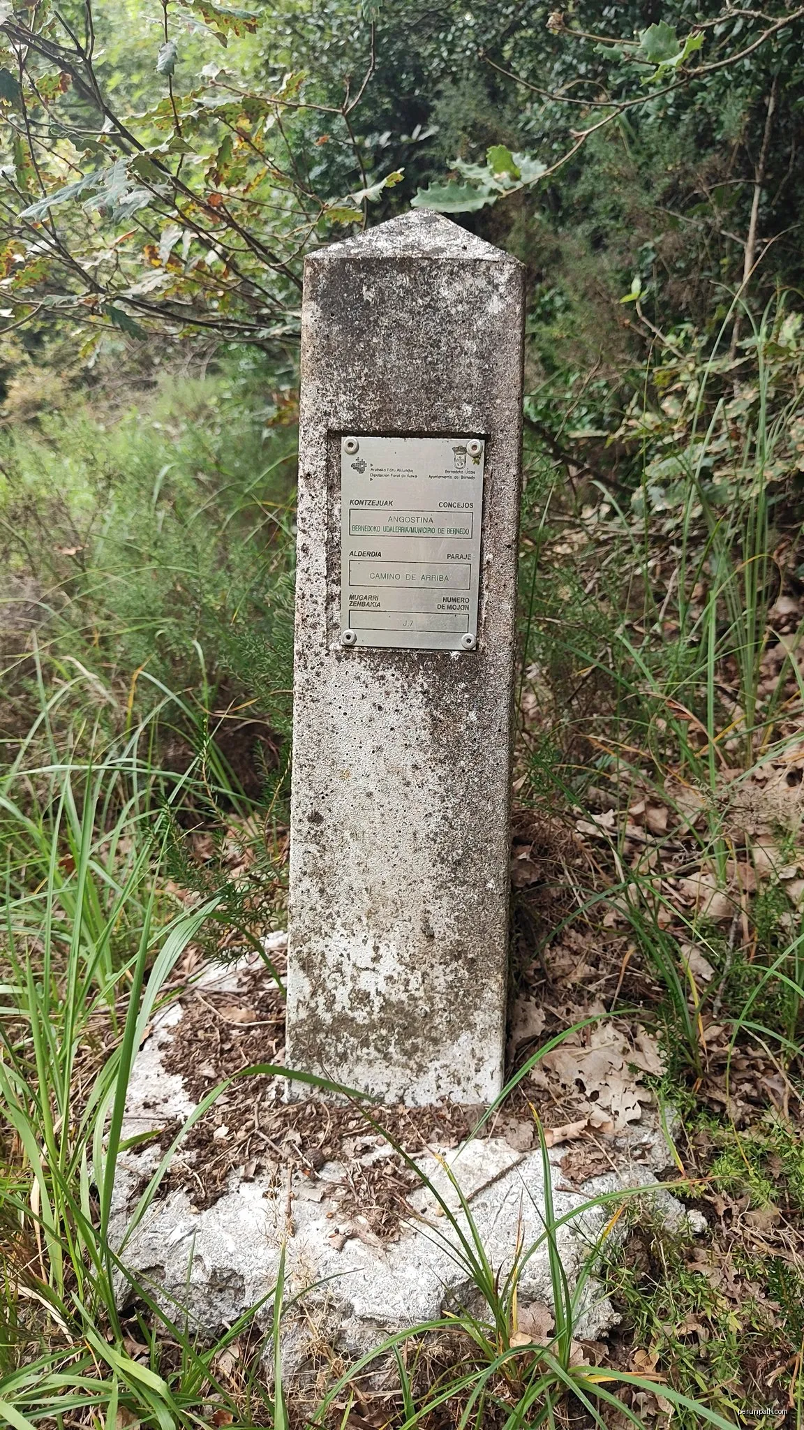 San Roman de Campezo - Bernedo (GR-1)