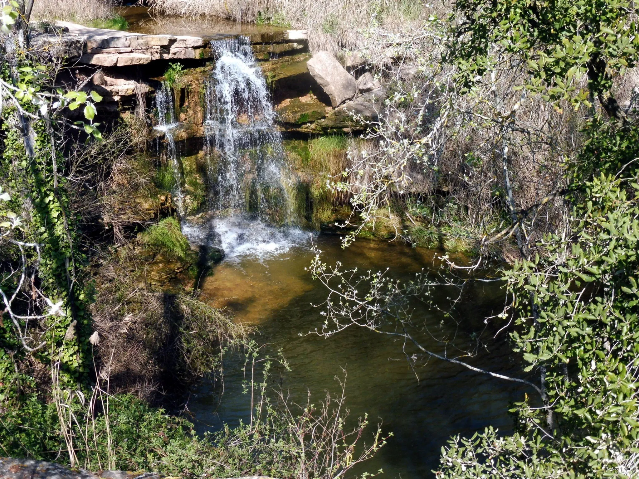 Ruta del romànic XVI.1 – Sant Mateu de Bages