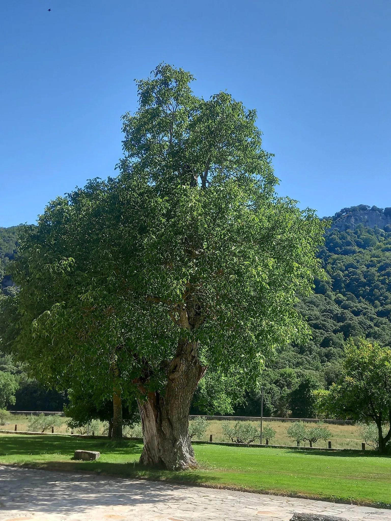 Irantzu ibaiaren arroila