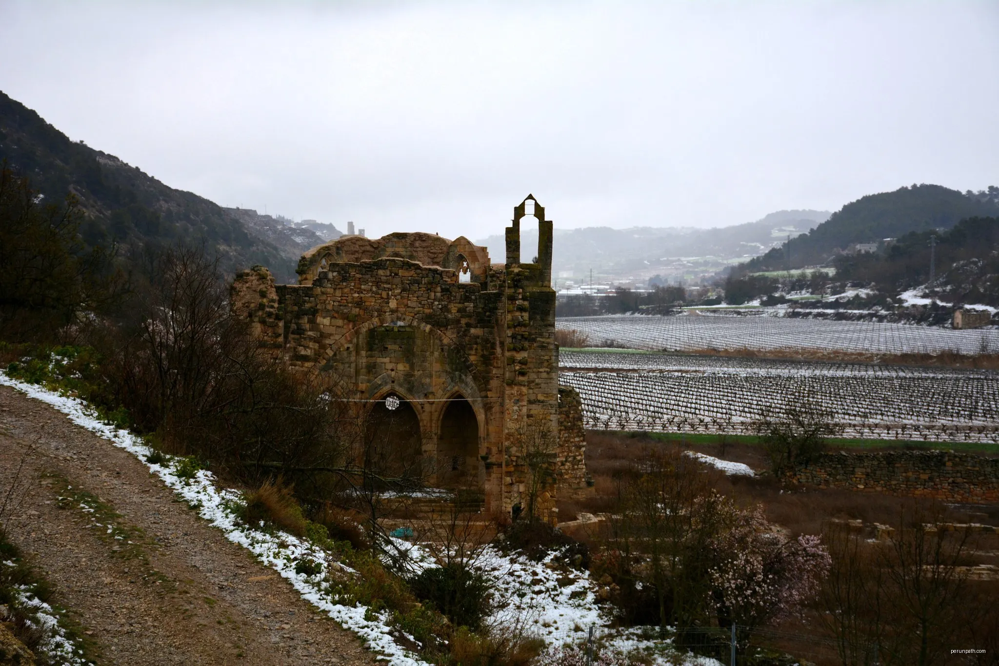 Guimerà-Riu Corb