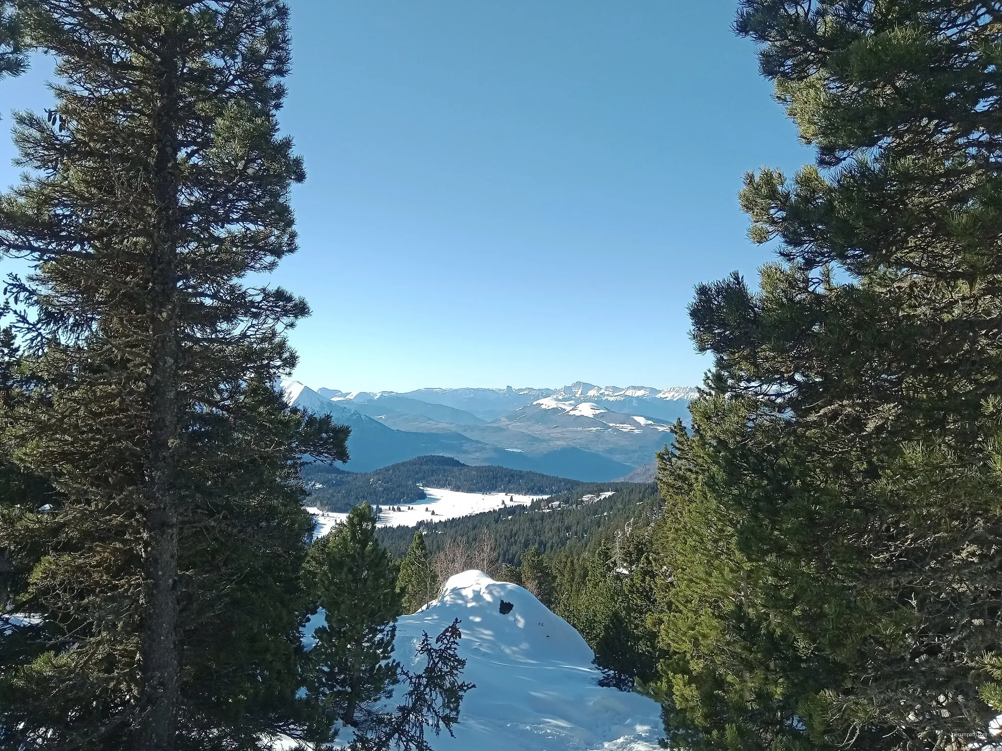 Panoramique Variante