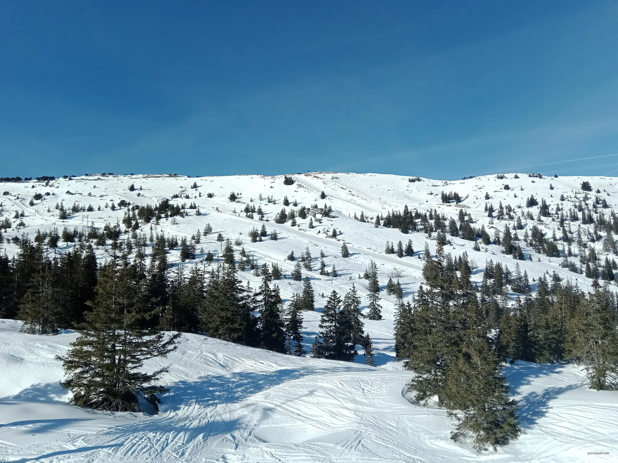 La Forêt