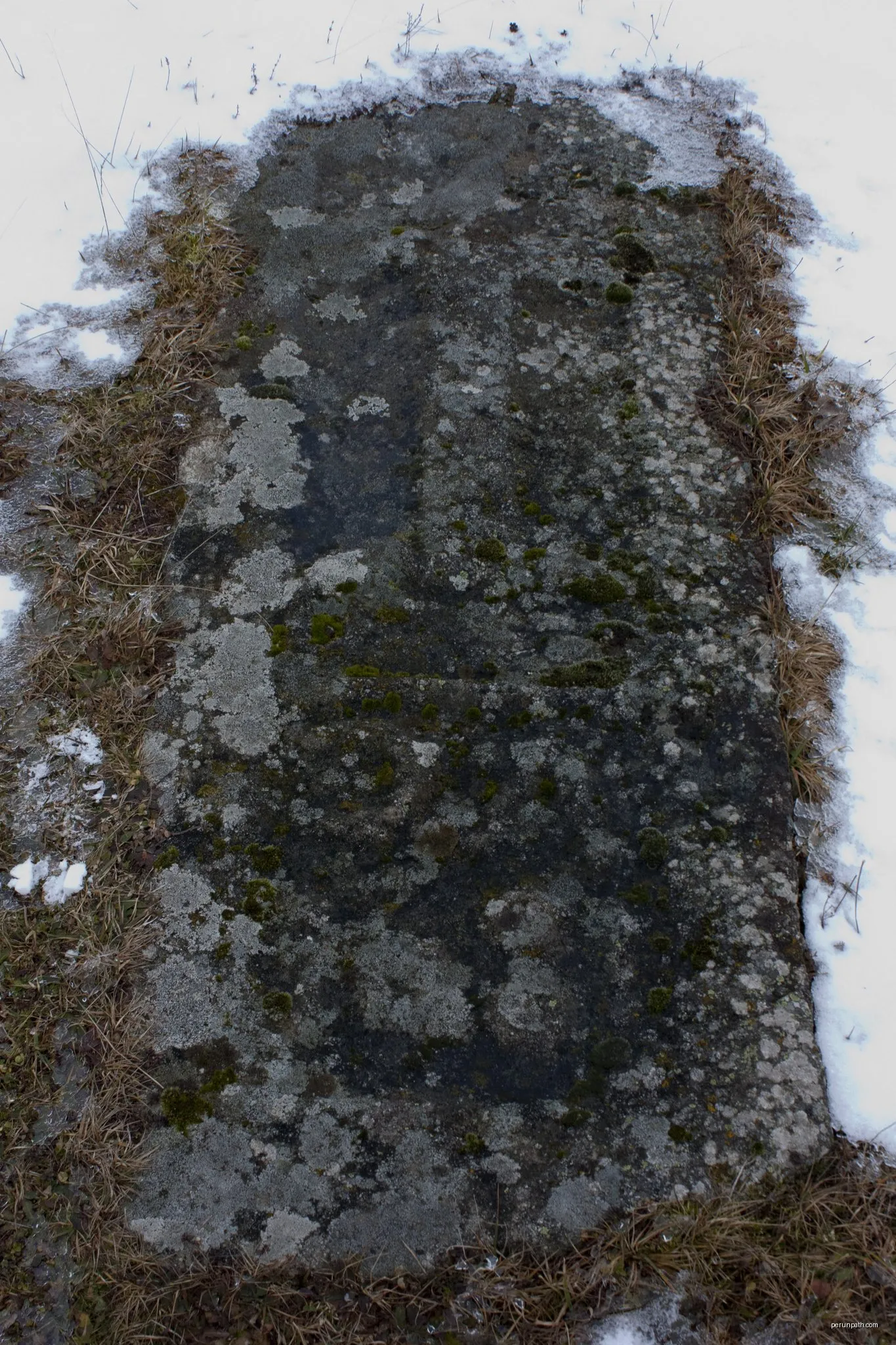Montarcher