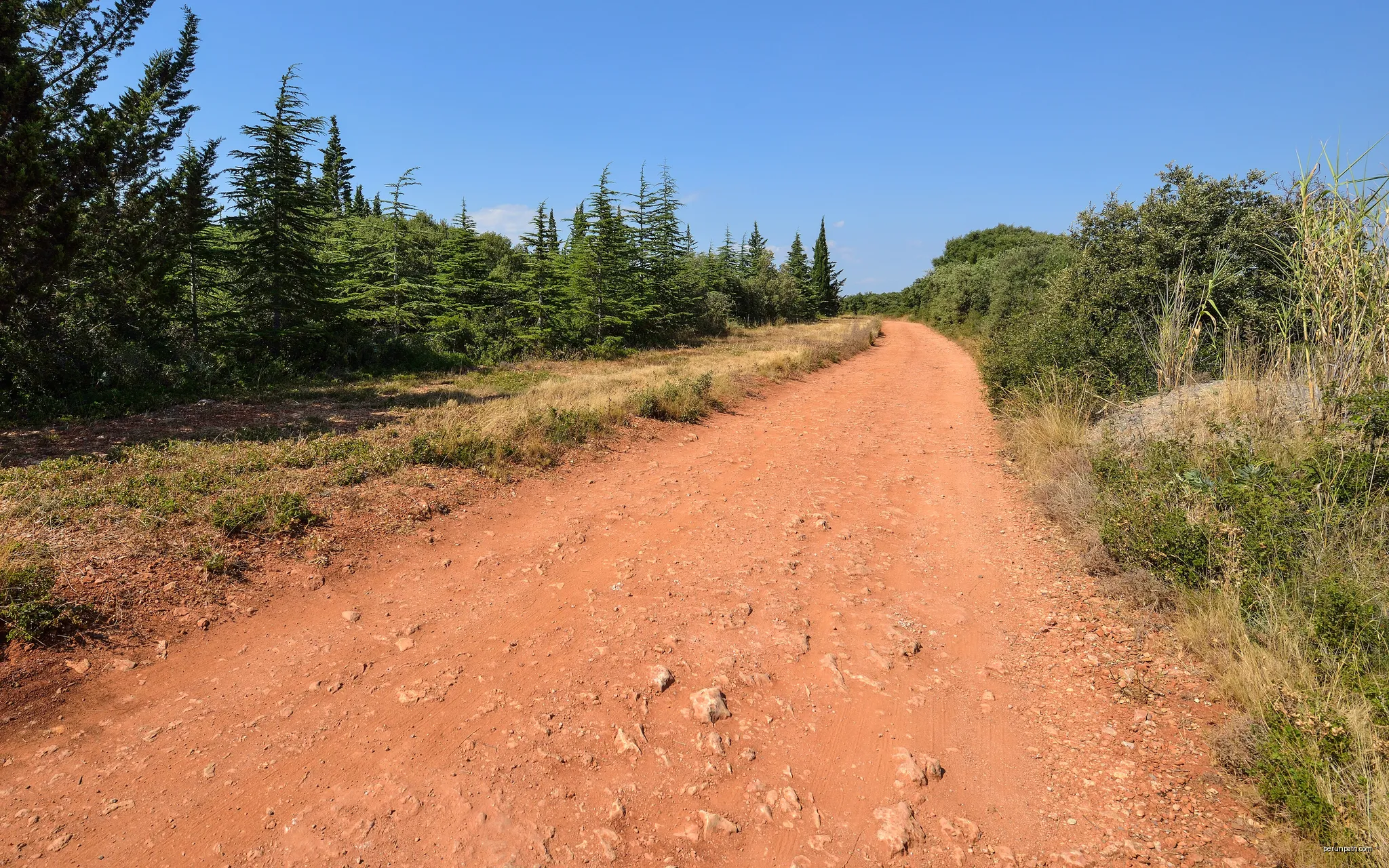 Trail on the Moure Hills. Montbazin, Hérault, France. | Autor: Christian Ferrer | Licencja: CC BY-SA 3.0 | Źródło: Wikimedia Commons