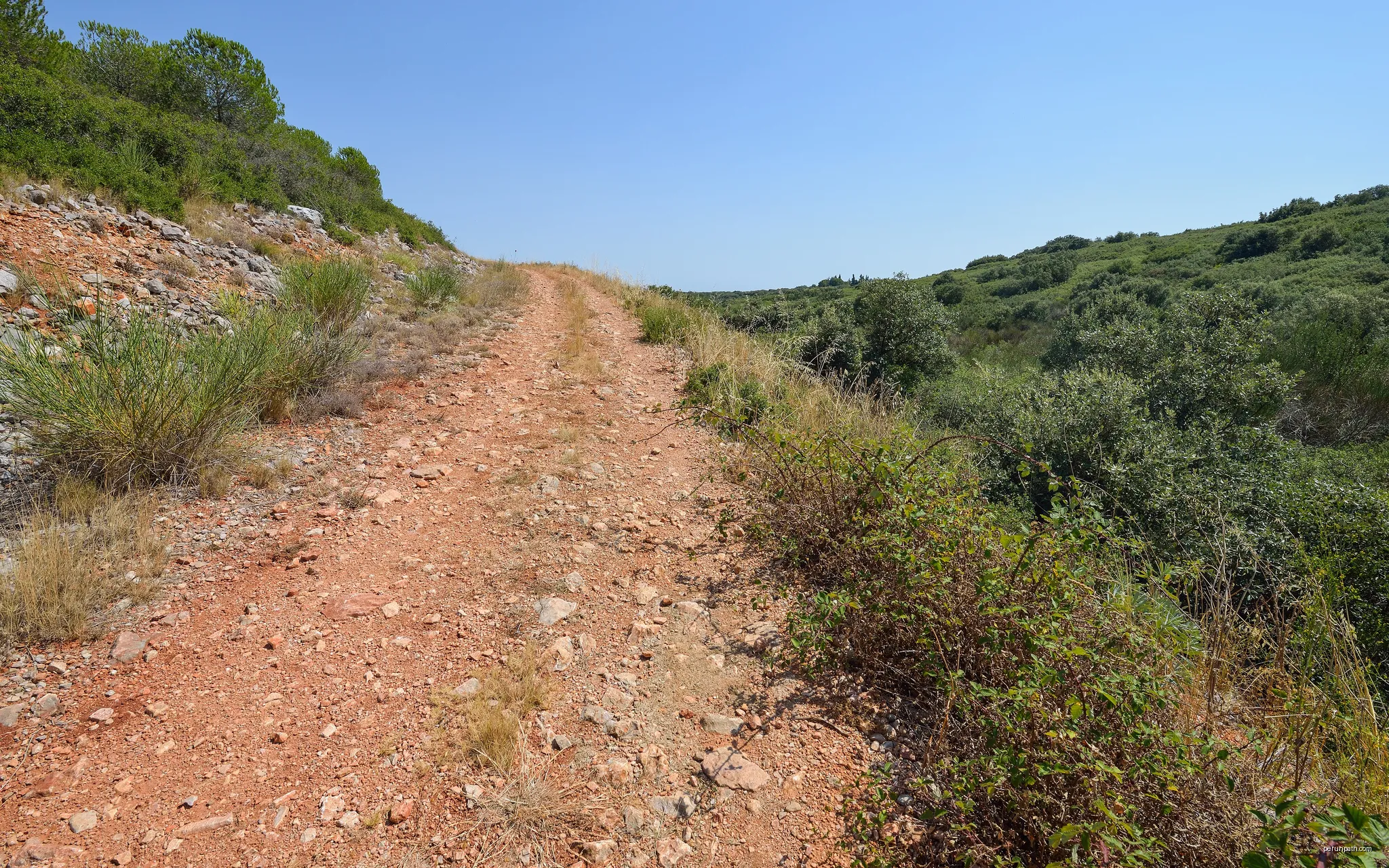 Trail in the garrigue on the Moure Hills. Montbazin, Hérault, France. | Autor: Christian Ferrer | Licencja: CC BY-SA 3.0 | Źródło: Wikimedia Commons