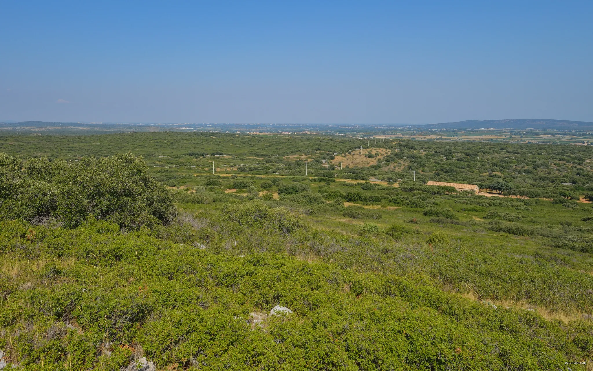 The garrigue on the Moure Hills. View from West to East. Montbazin, Hérault, France. | Autor: Christian Ferrer | Licencja: CC BY-SA 3.0 | Źródło: Wikimedia Commons