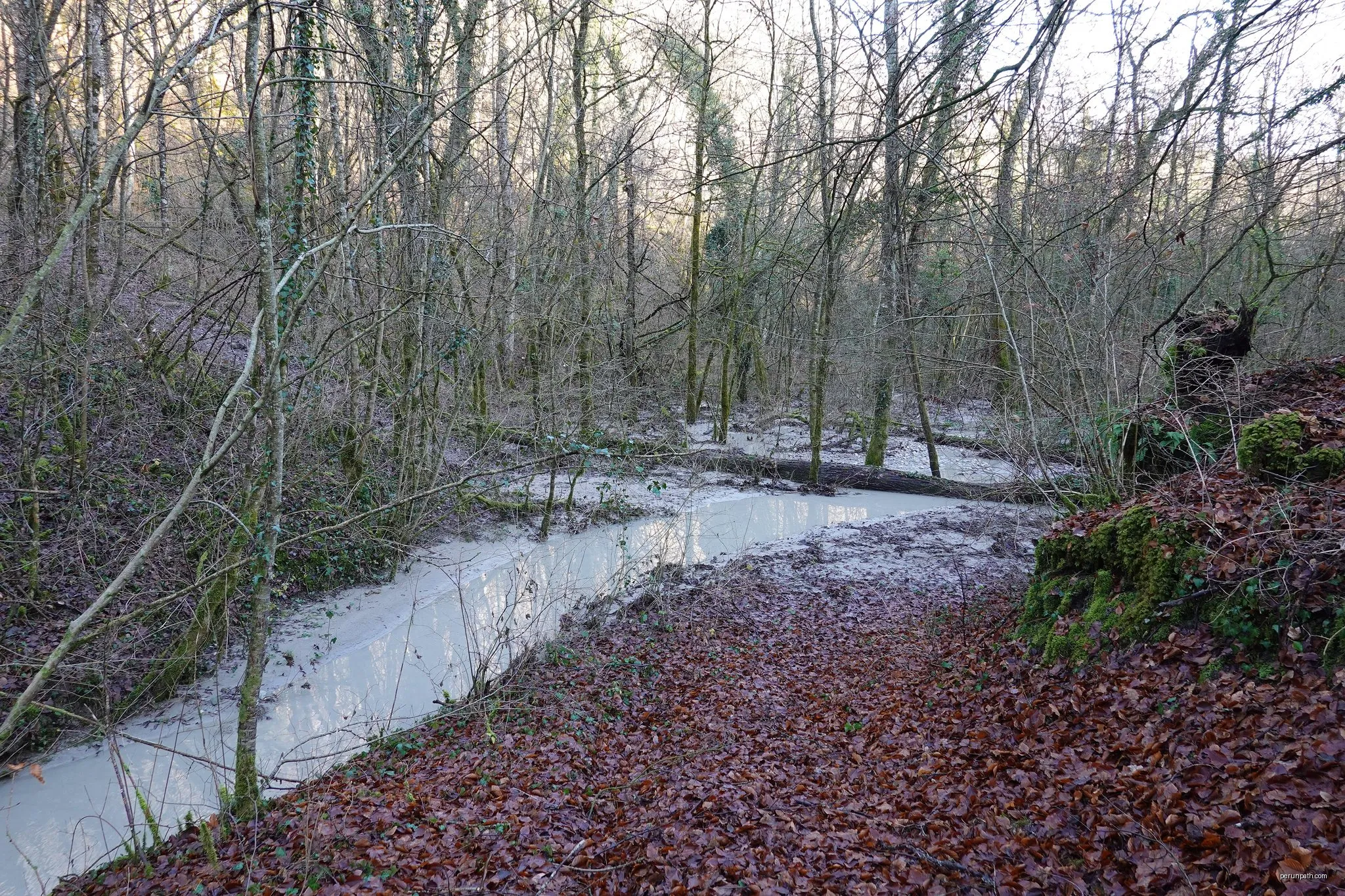 Parcours VTT 20 bleu - Berges du Rhône