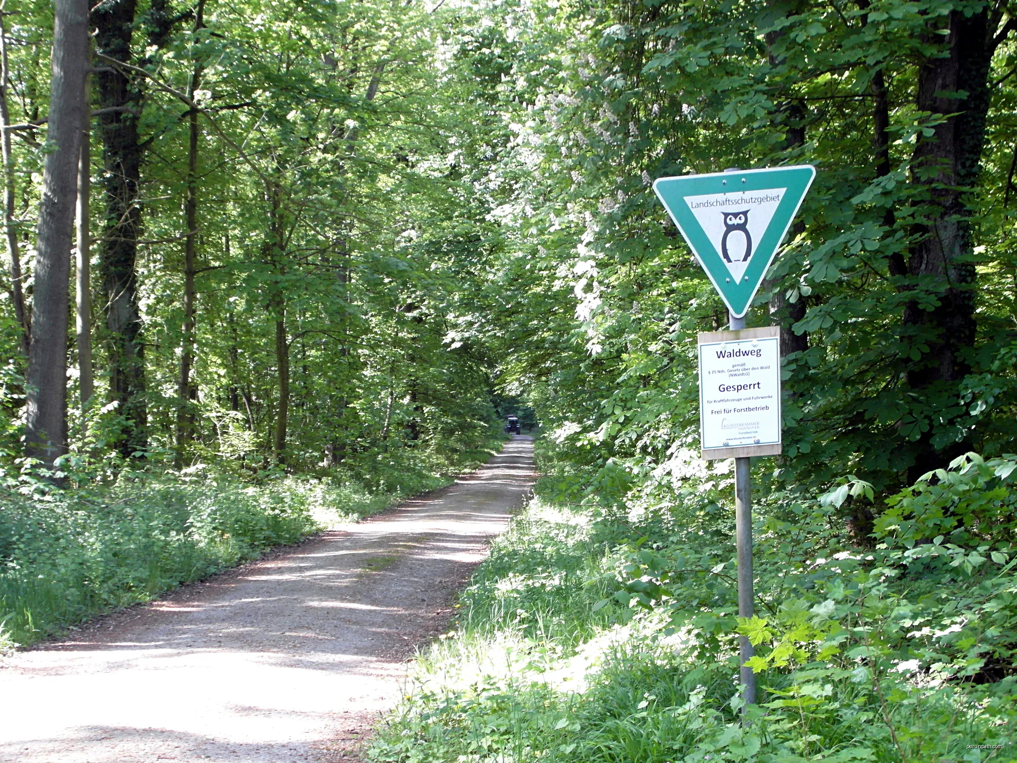Landschaftsschutzgebiet LSG H 23 Norddeister: Beginn der Münder Heerstraße beim Wennigser Ortsteil Waldkater. | Autor: Den man tau | Licencja: CC BY-SA 3.0 | Źródło: Wikimedia Commons