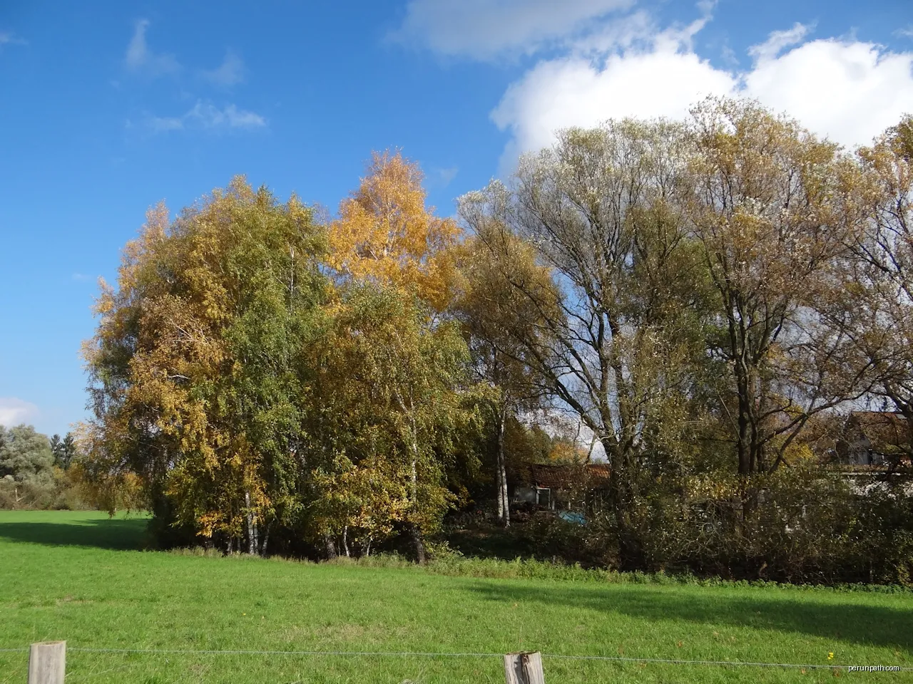 Dieckhorst (50) - (57) Müden Aller Molkereiweg (57)