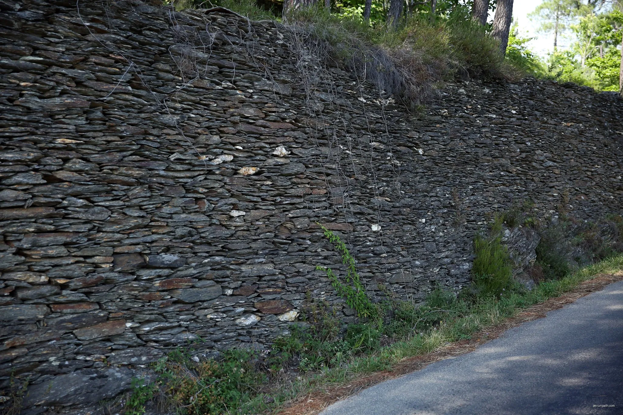 Chemin de Stevenson - Part 9
