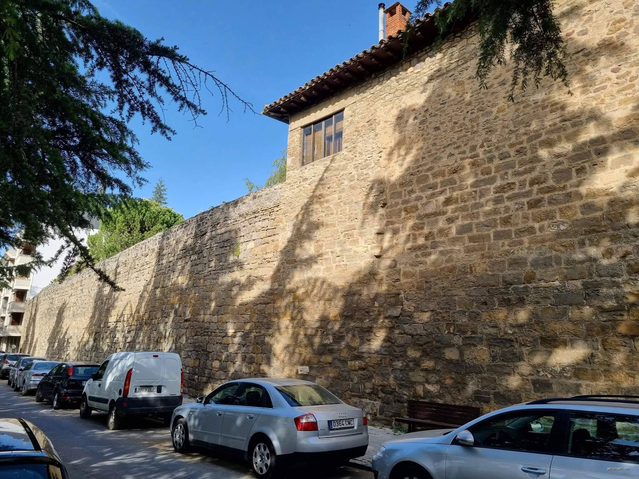 Camino Pastor