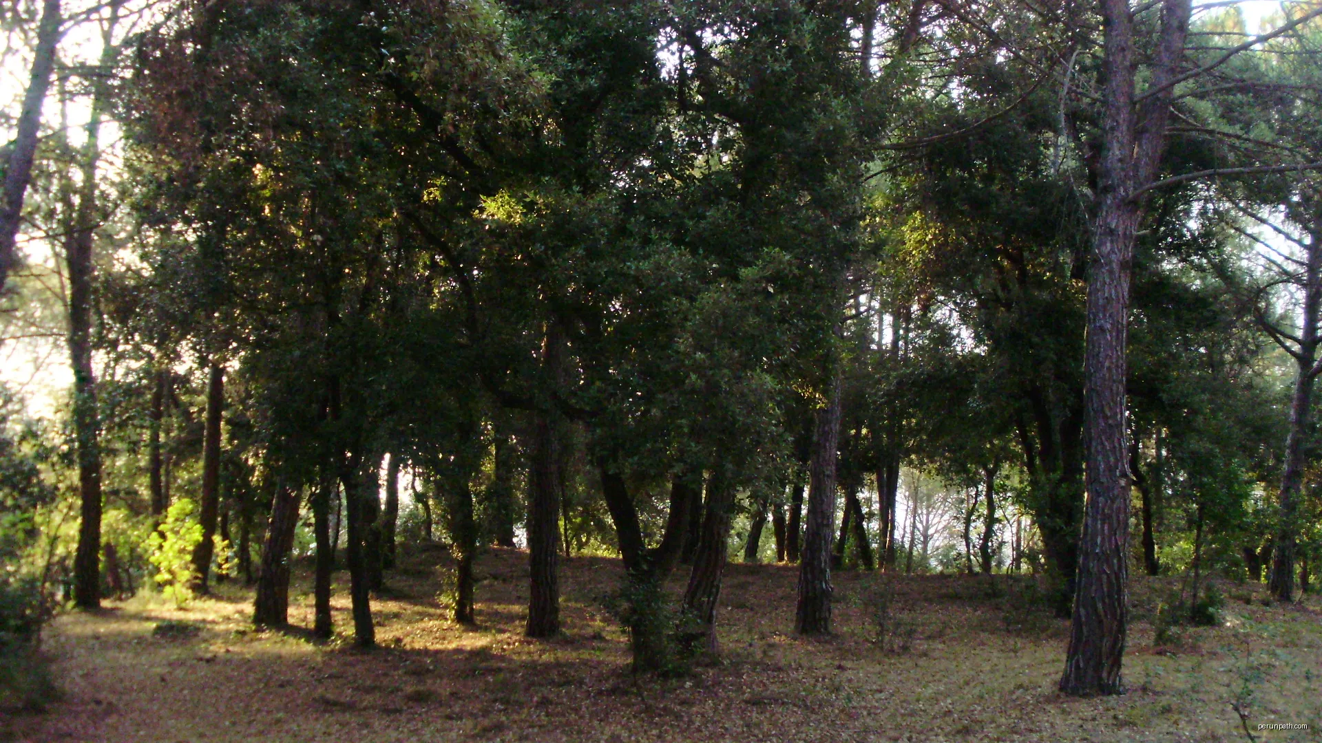 Natura a prop de la ciutat de Girona | Autor: klimmanet | Licencja: CC BY 3.0 | Źródło: Wikimedia Commons