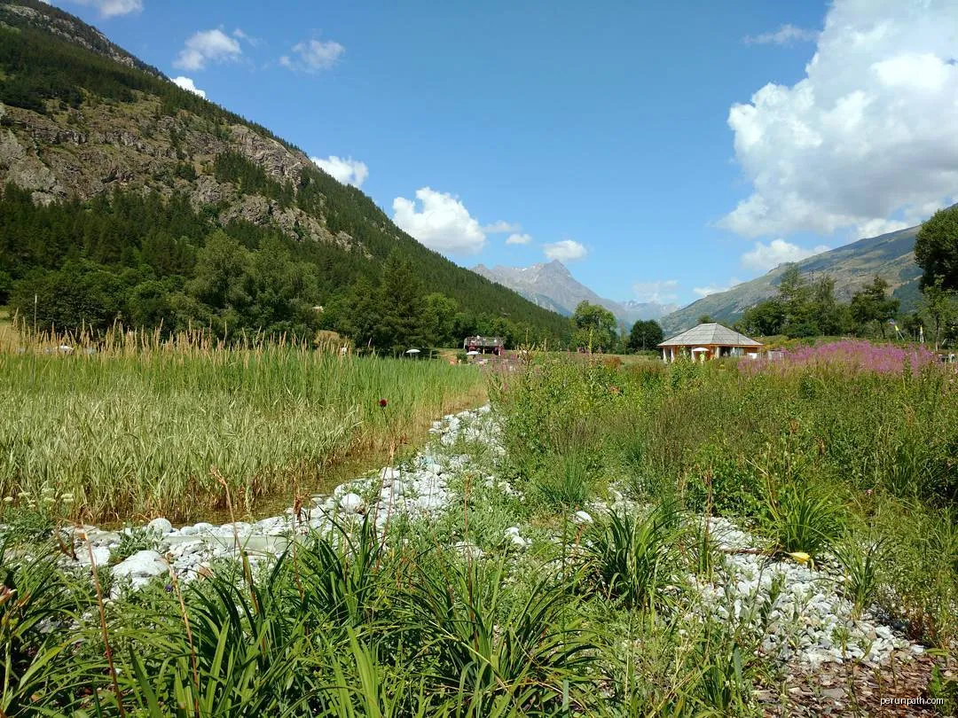 500px provided description: Natural pool in a ski resort during summer. [#mountains ,#nature ,#summer ,#pool ,#plants ,#natural ,#mountain ,#Instagram ,#IFTTT] | Autor: Thibault | Licencja: CC BY 3.0 | Źródło: Wikimedia Commons