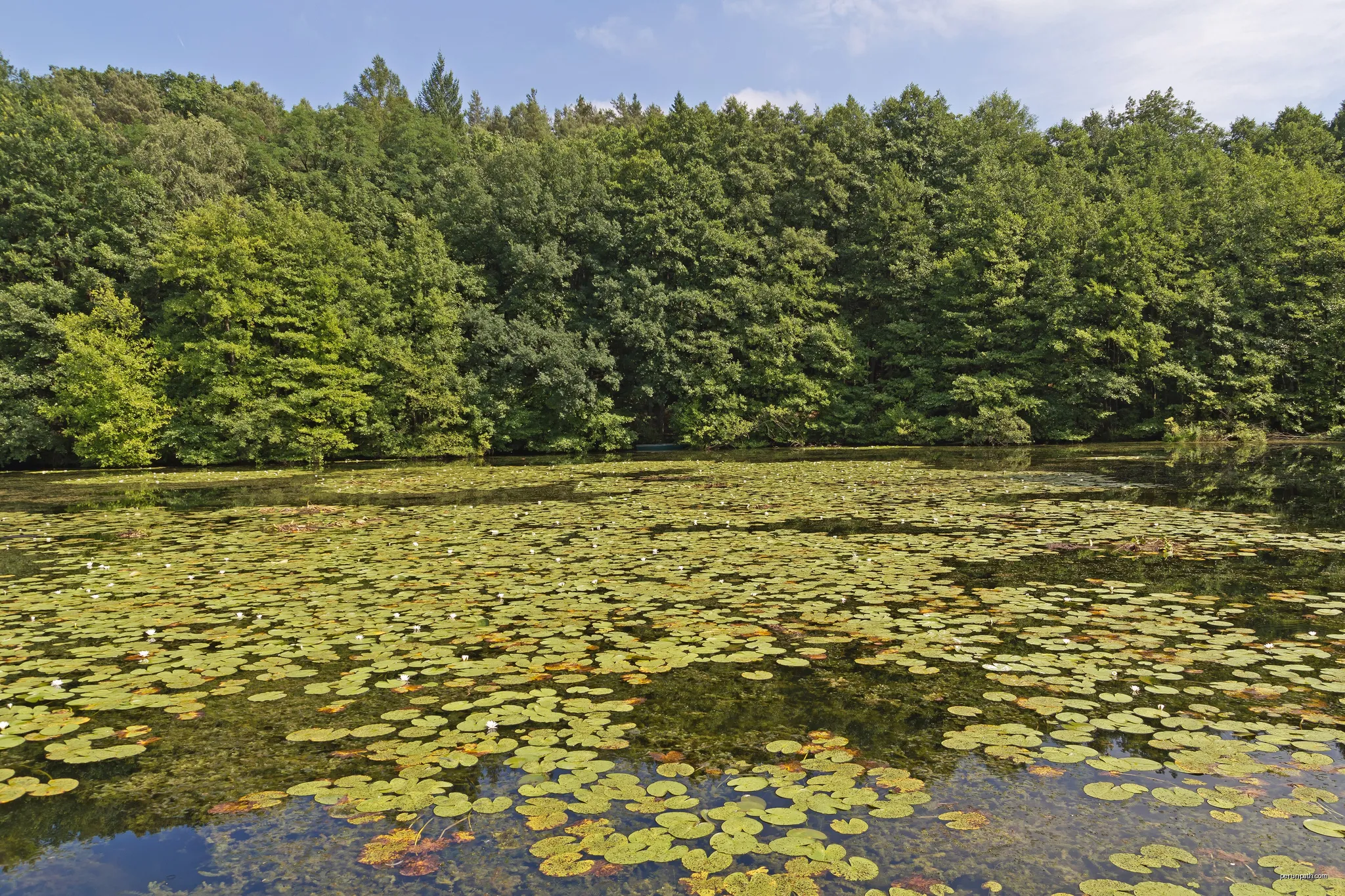 Schlaube Valley Nature Park, Brandenburg, Germany | Autor: A.Savin | Licencja: CC BY-SA 3.0 | Źródło: Wikimedia Commons