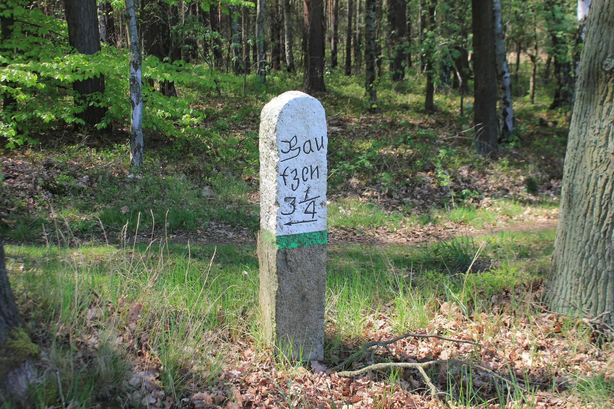 Kamjentny pućnik při dróze z Njeswačidła do Koslowa | Autor: Julian Nyča | Licencja: CC BY-SA 3.0 | Źródło: Wikimedia Commons