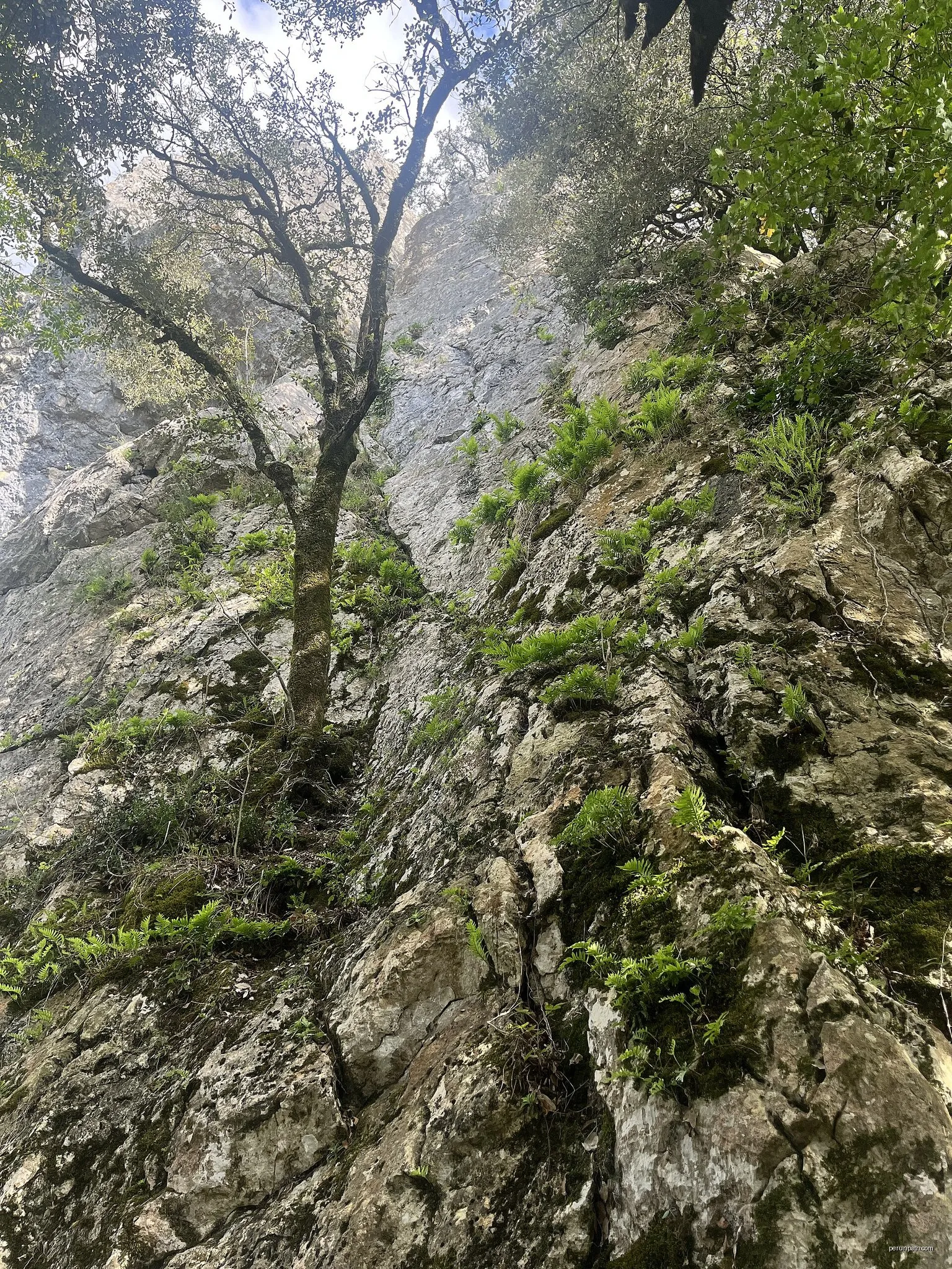Aitzorrotz inguruak (II)