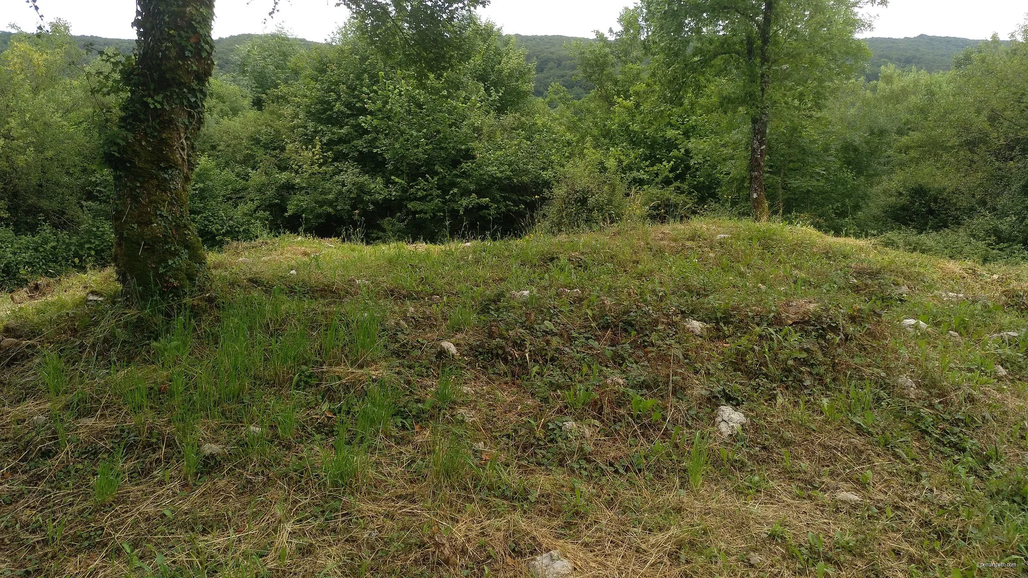 Oderizko trikuharrien ibilbidea