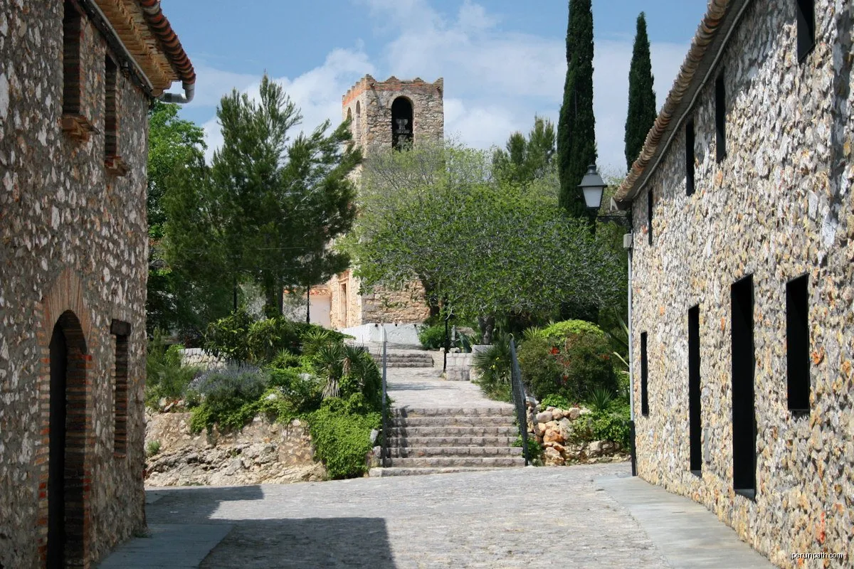 Olivella