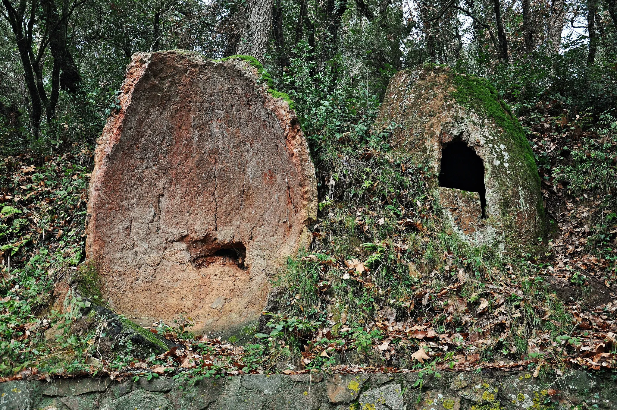 Vallgorguna-Olzinelles