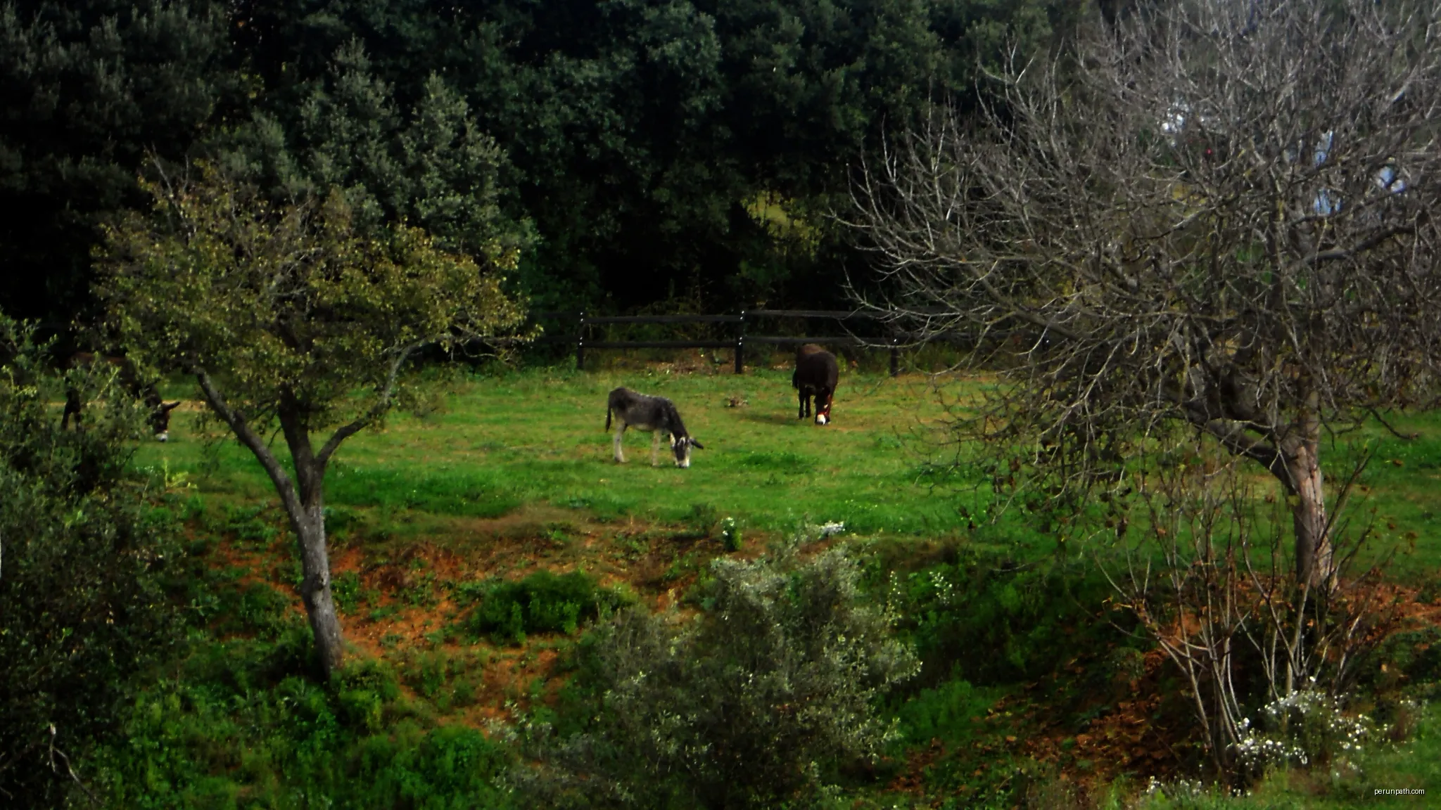 PAISATGE DE LA RUTA DE LES FONTS | Autor: klimmanet | Licencja: CC BY 3.0 | Źródło: Wikimedia Commons