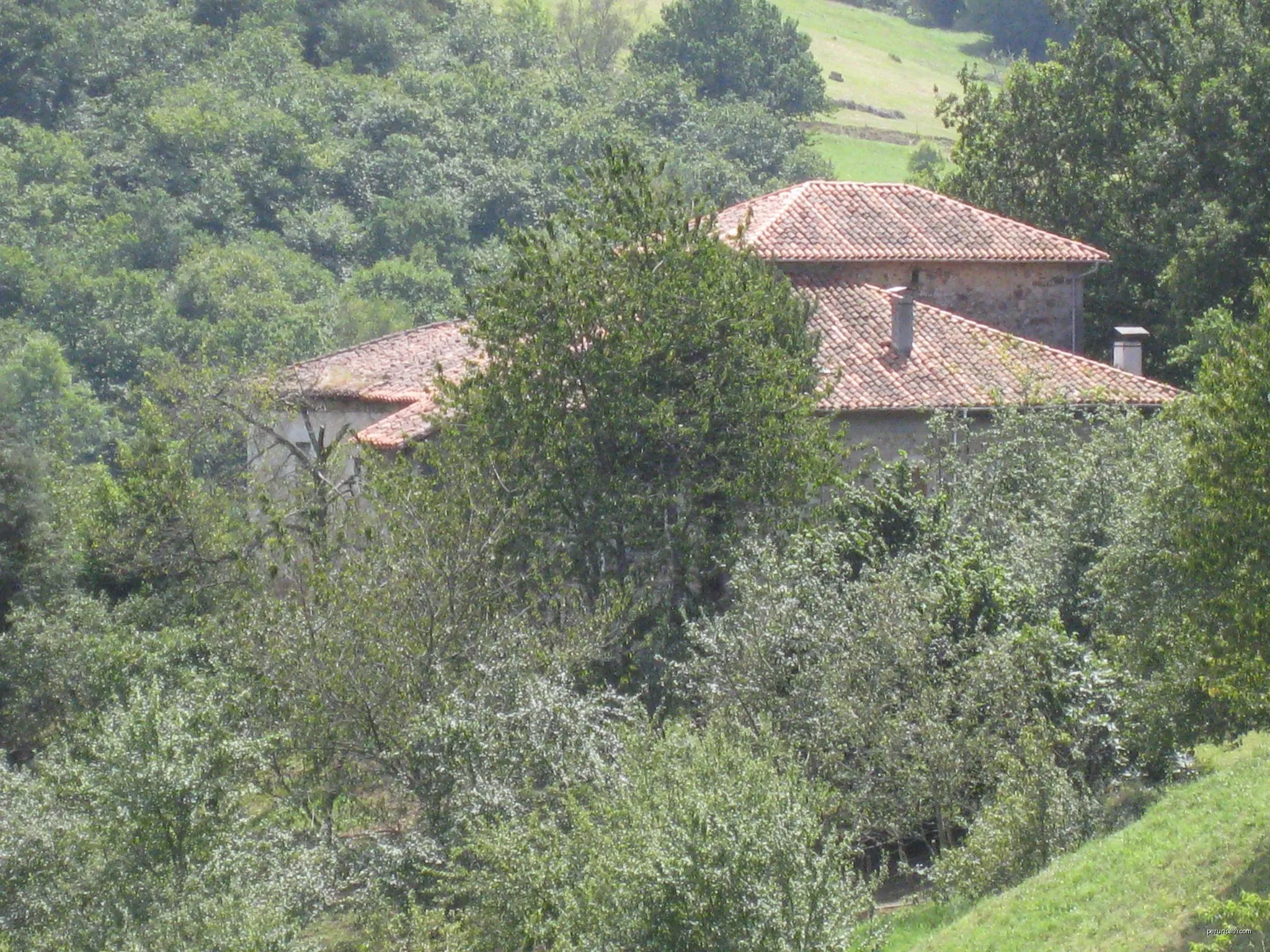 Berodia - Inguanzo