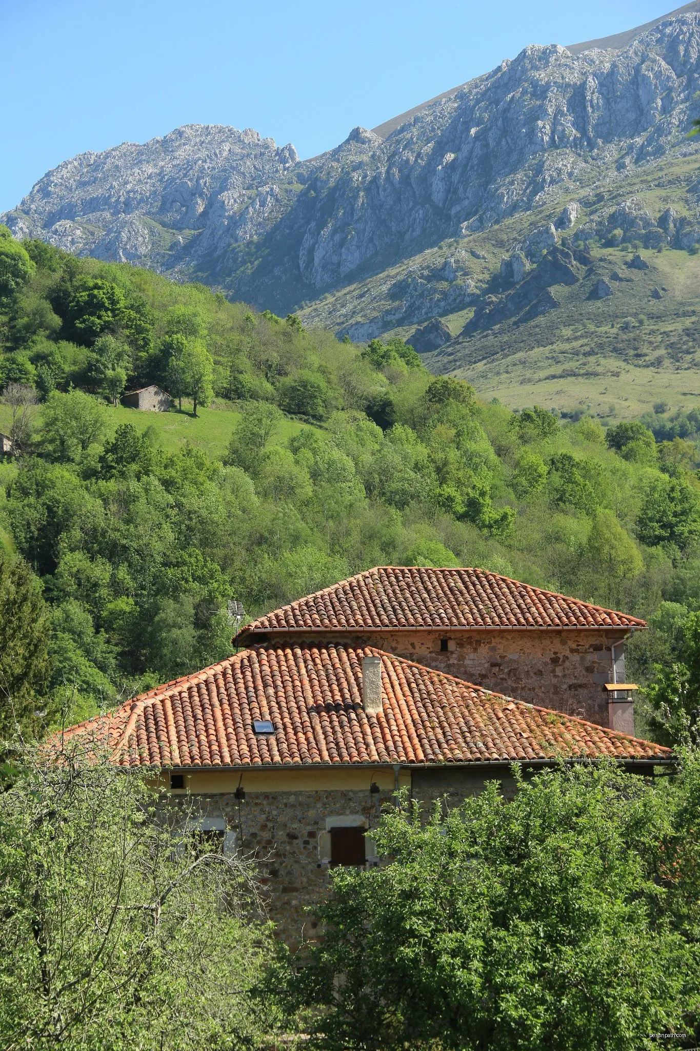 Berodia - Inguanzo