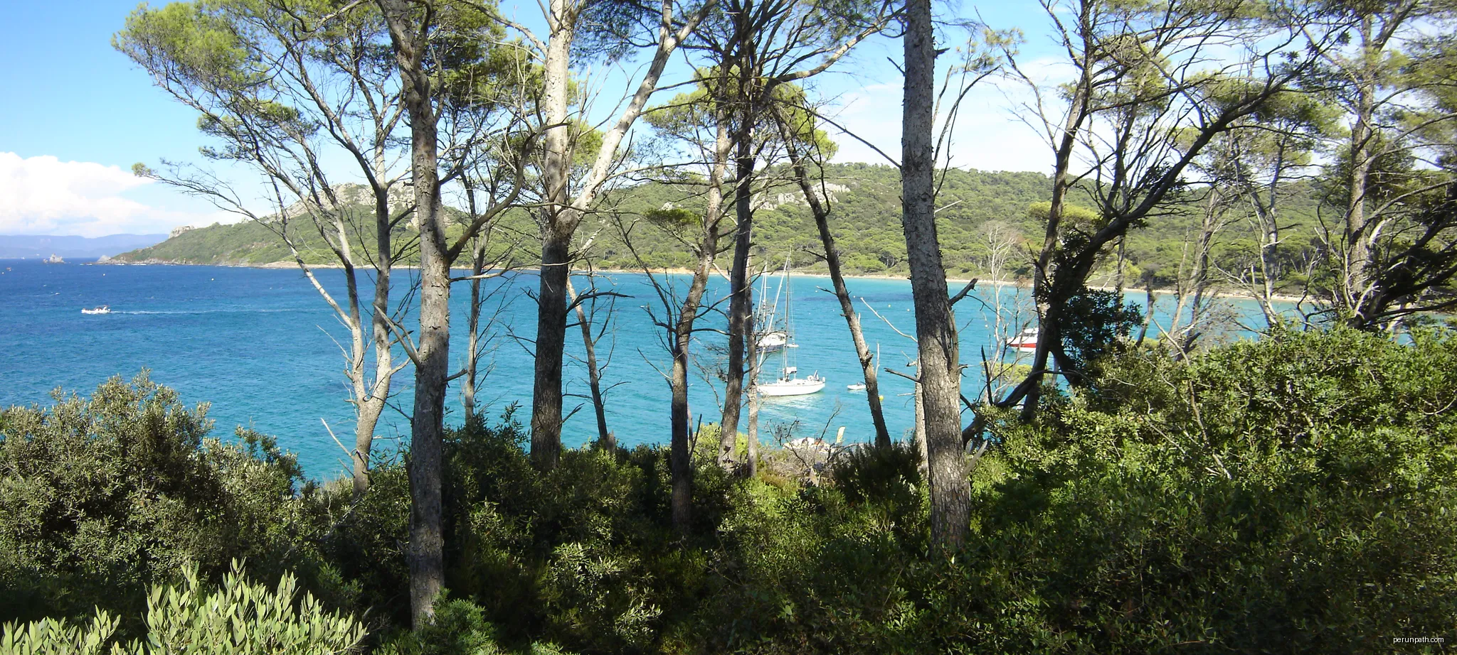Panorama de la plage Notre-Dame à Porquerolles. | Autor: Prométhée33 | Licencja: CC BY-SA 3.0 | Źródło: Wikimedia Commons