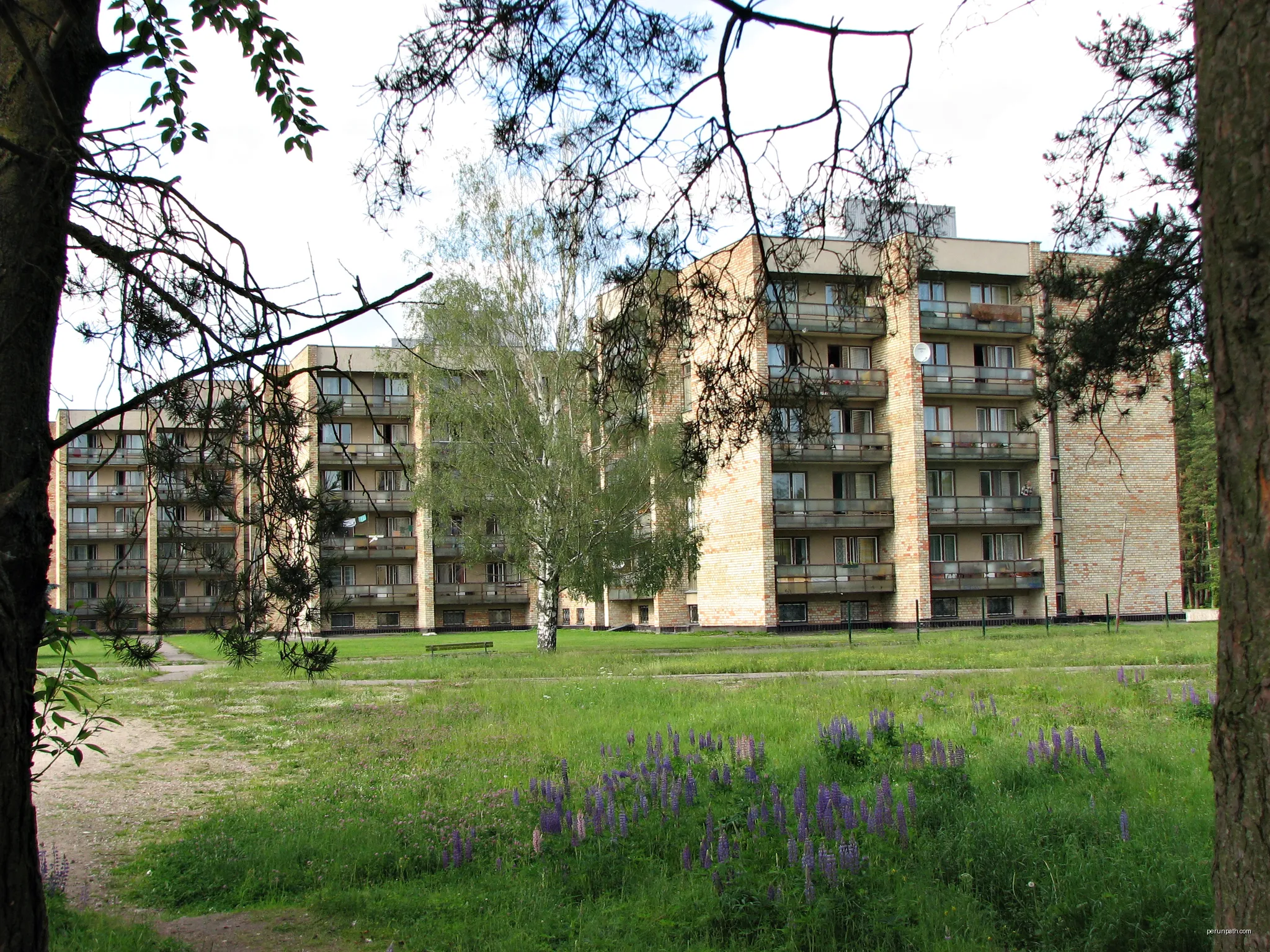 Bergu