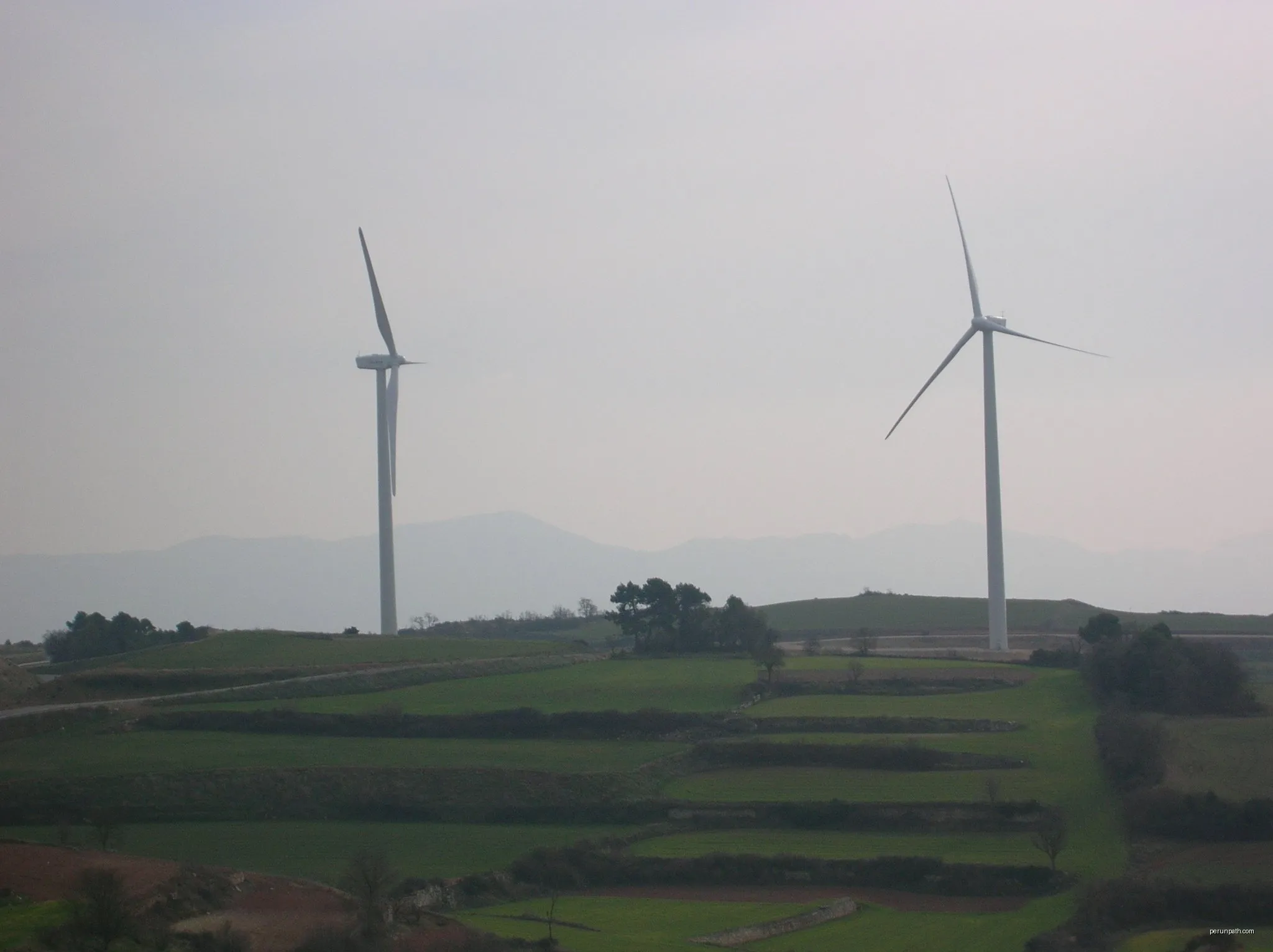 Serra del Tallat
