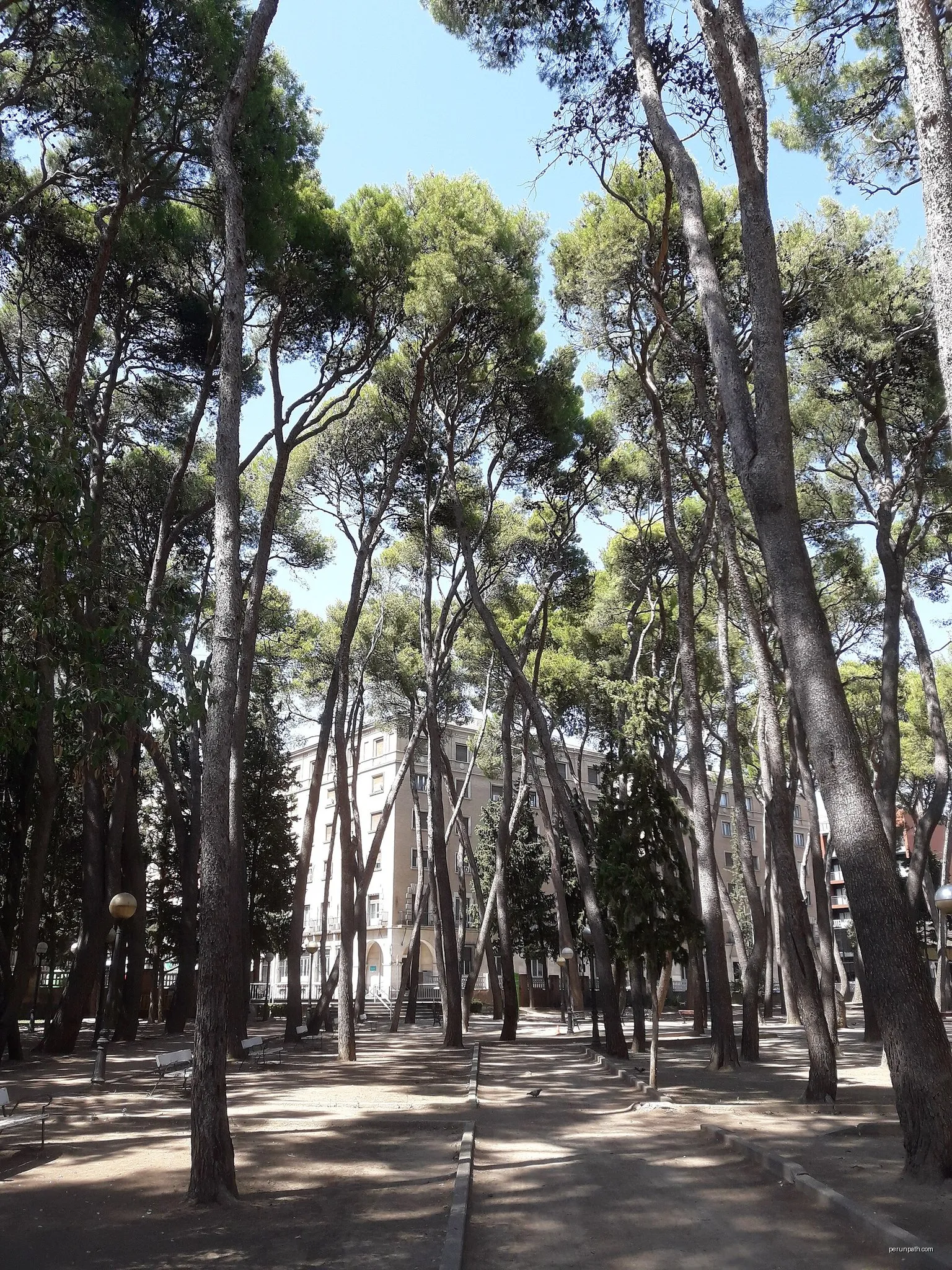 Recorrido por el humedal de Loreto