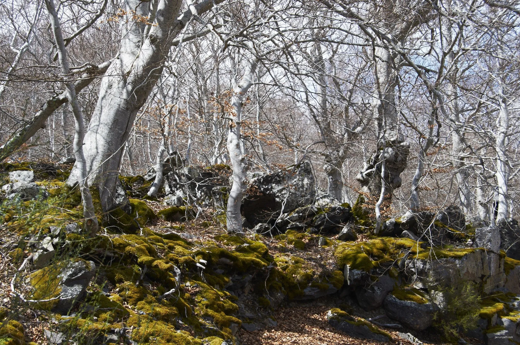 [CIMA ZA05] Moncayo * Monasterio de Veruela