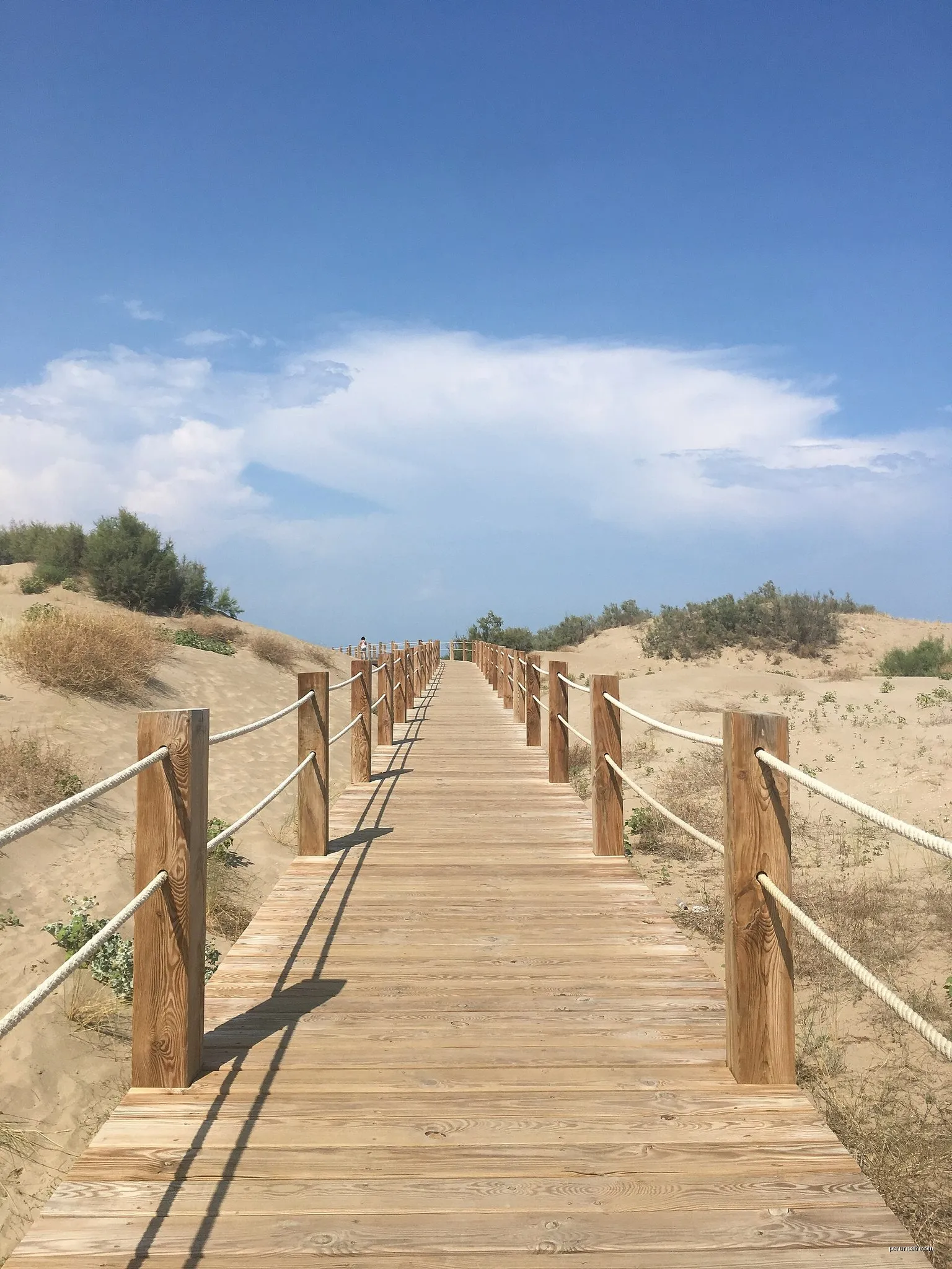 Camí de Sant Jaume