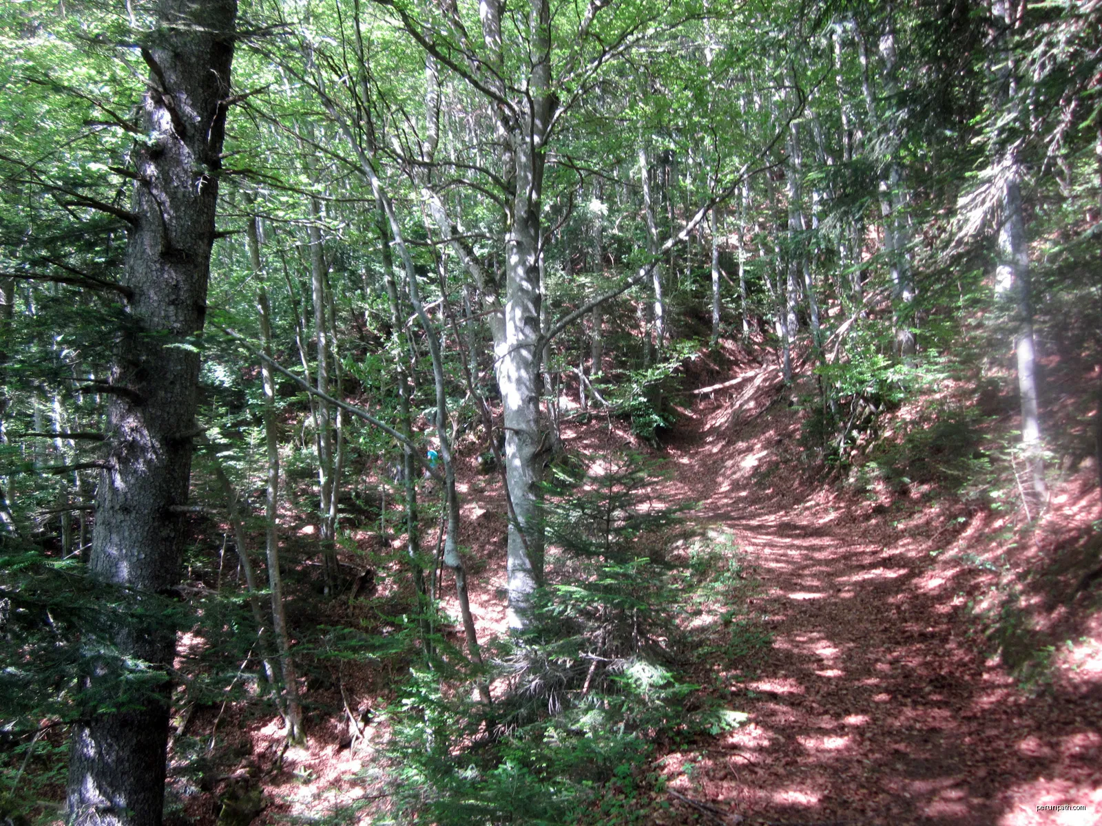 L'Oursière