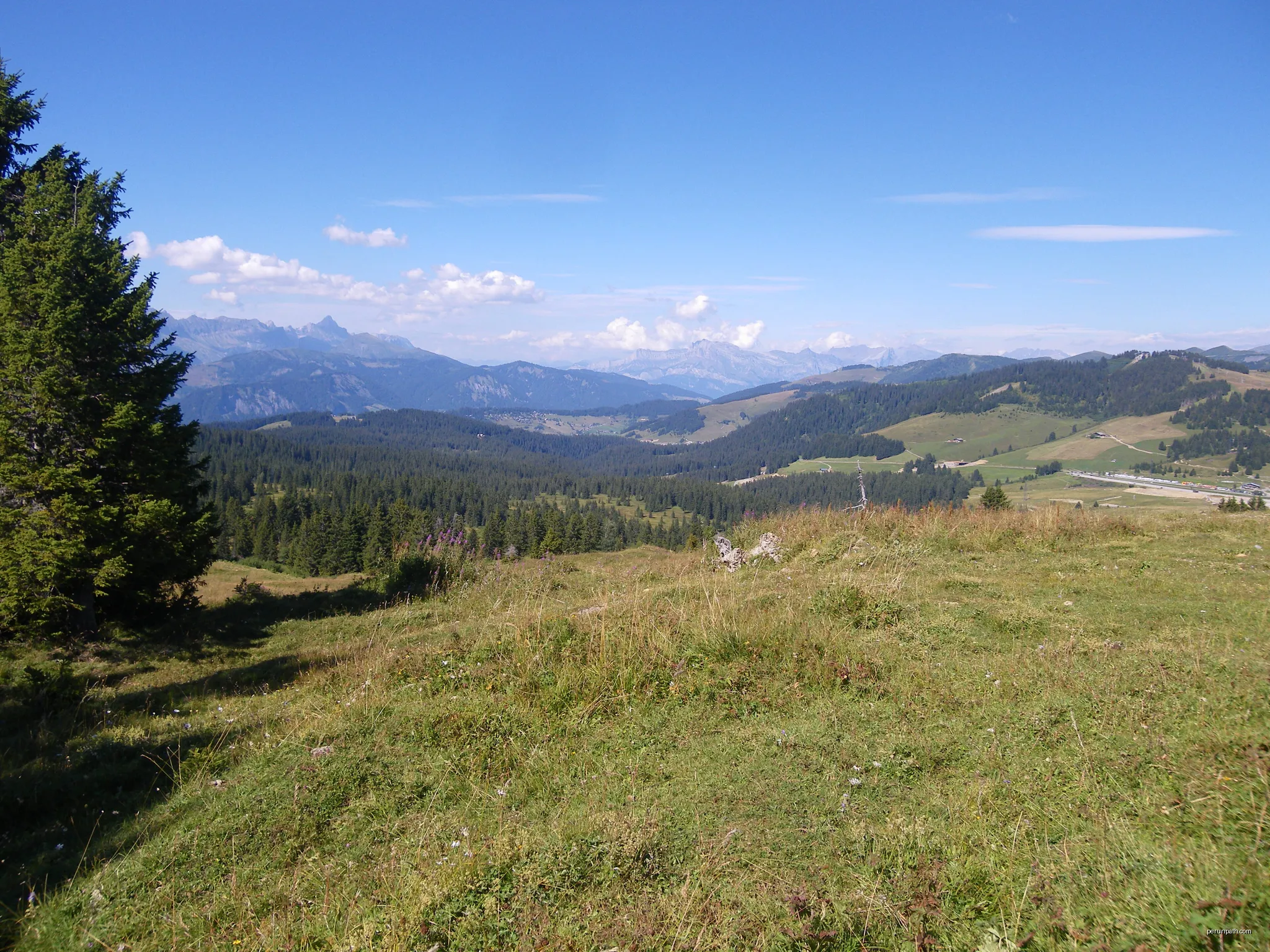4 - Panoramique