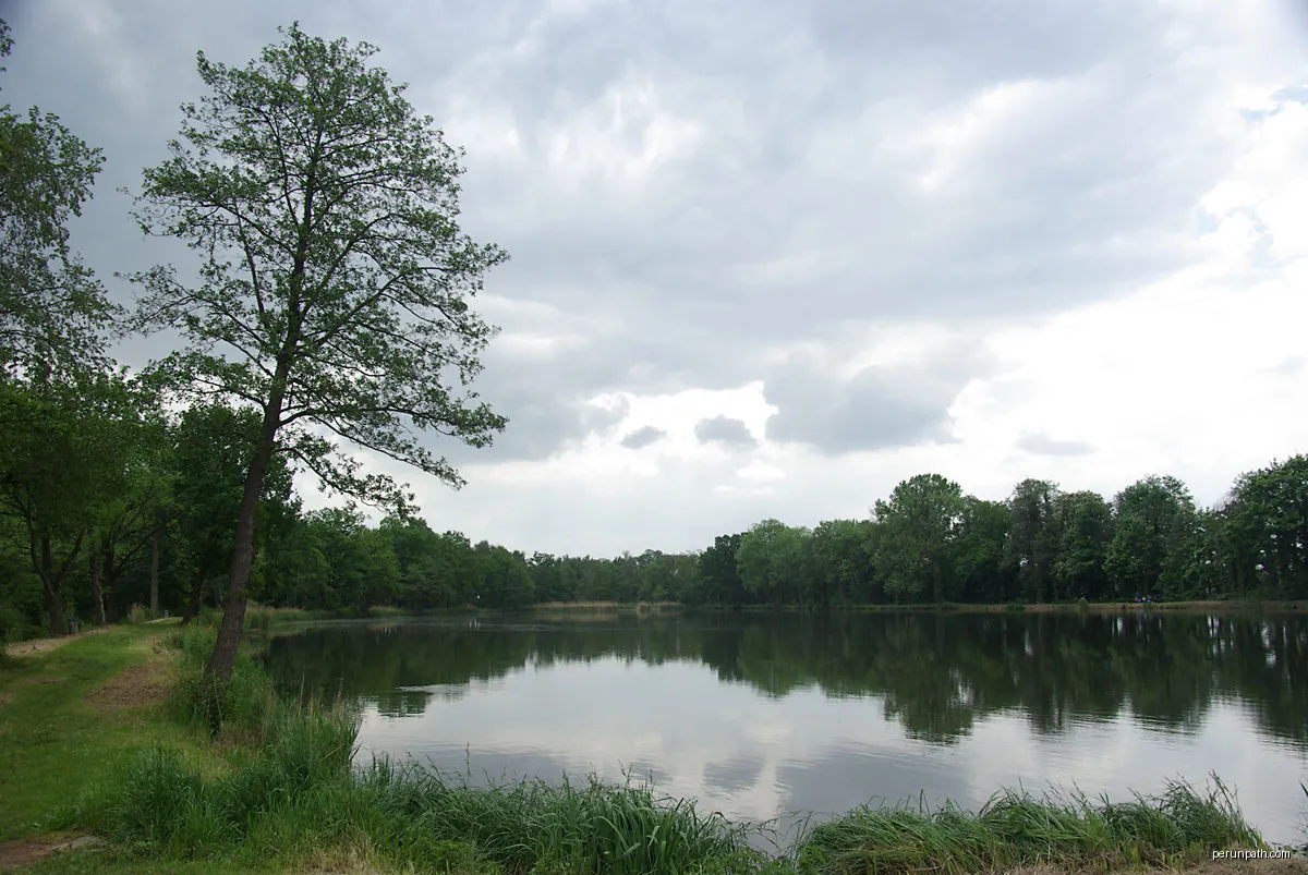 Fishing pond, Peitz, Brandenburg, Germany | Autor: Stefan Fussan | Licencja: CC BY-SA 3.0 | Źródło: Wikimedia Commons